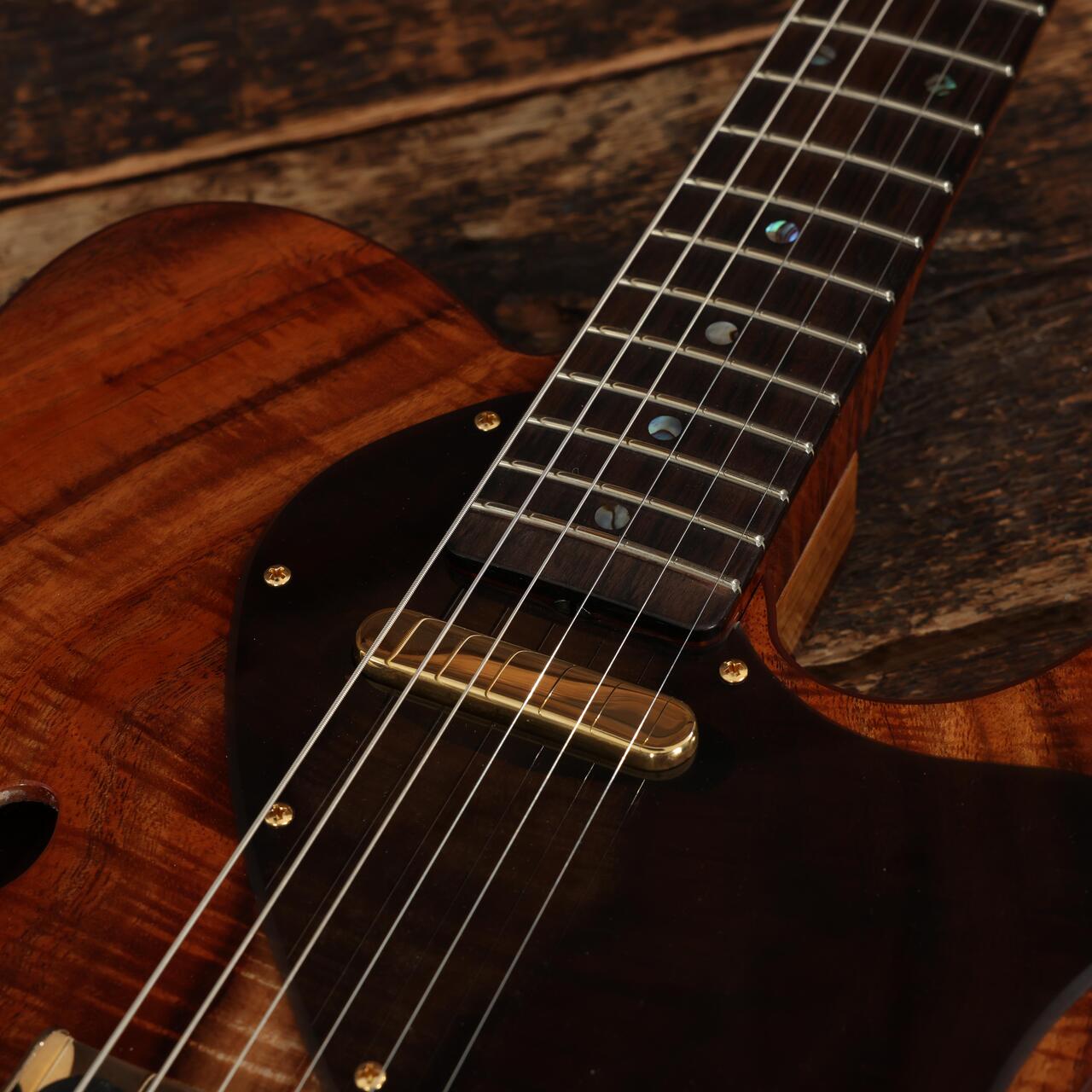 Fender Custom Shop Masterbuilt Austin MacNutt Koa Top Telecaster Thinline NOS Electric Guitar in Natural - AM0156 (10).JPG