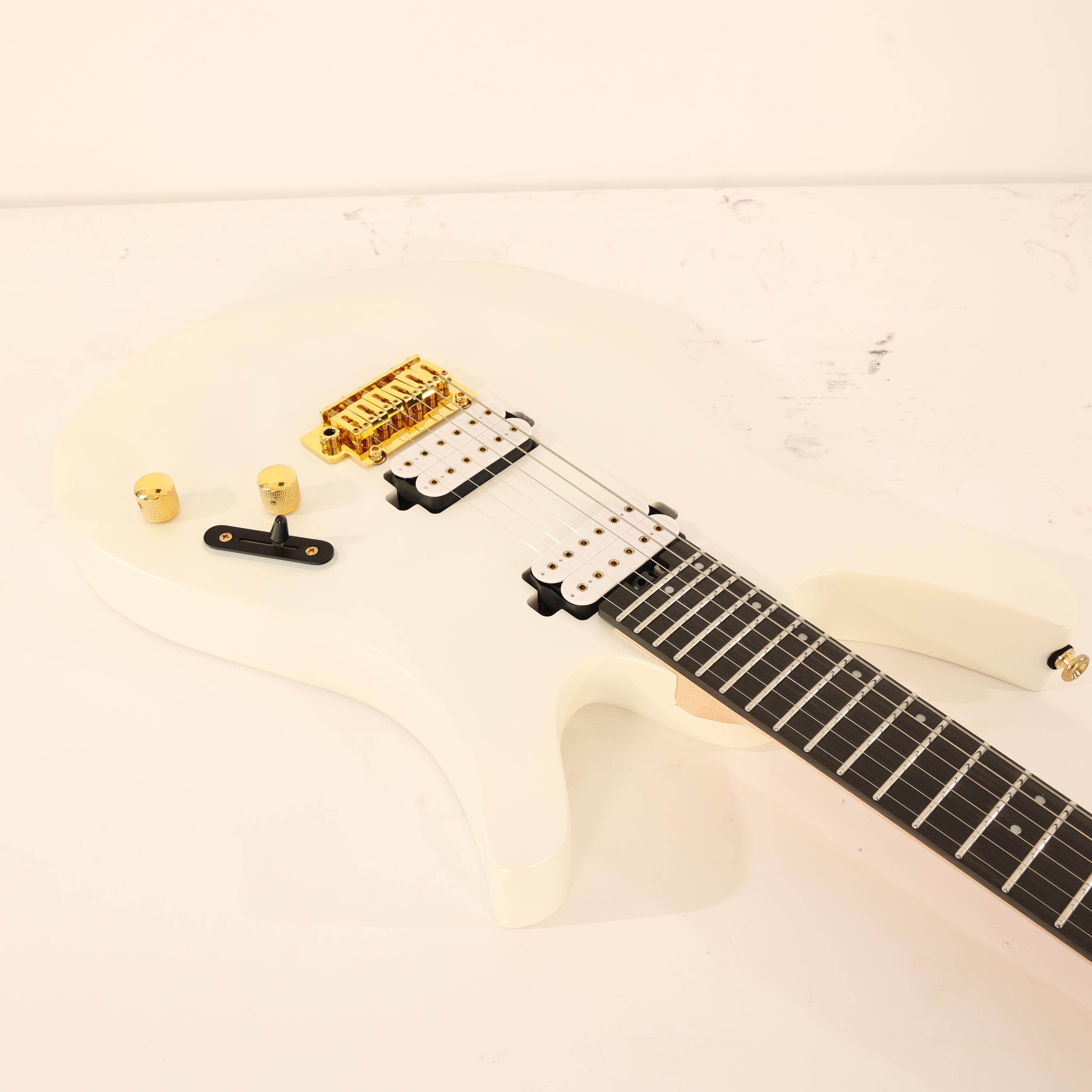 B Stock : Divitone DSG-10AO Smart Electric Guitar With On-board Effects in Arctic Ore 001 - B-DSG-10AO-0001 (8).jpg