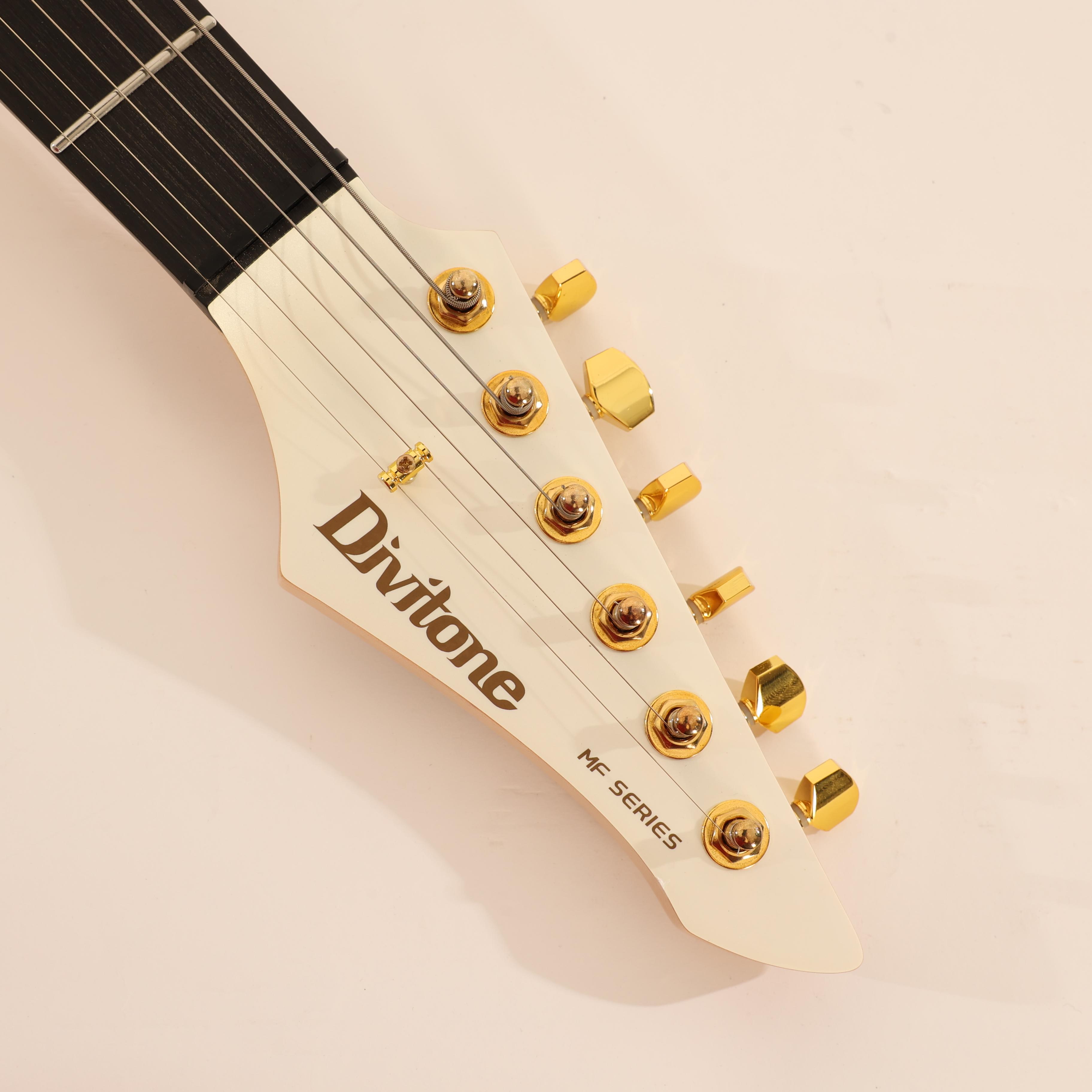 B Stock : Divitone DSG-10AO Smart Electric Guitar With On-board Effects in Arctic Ore 001 - B-DSG-10AO-0001 (11).jpg
