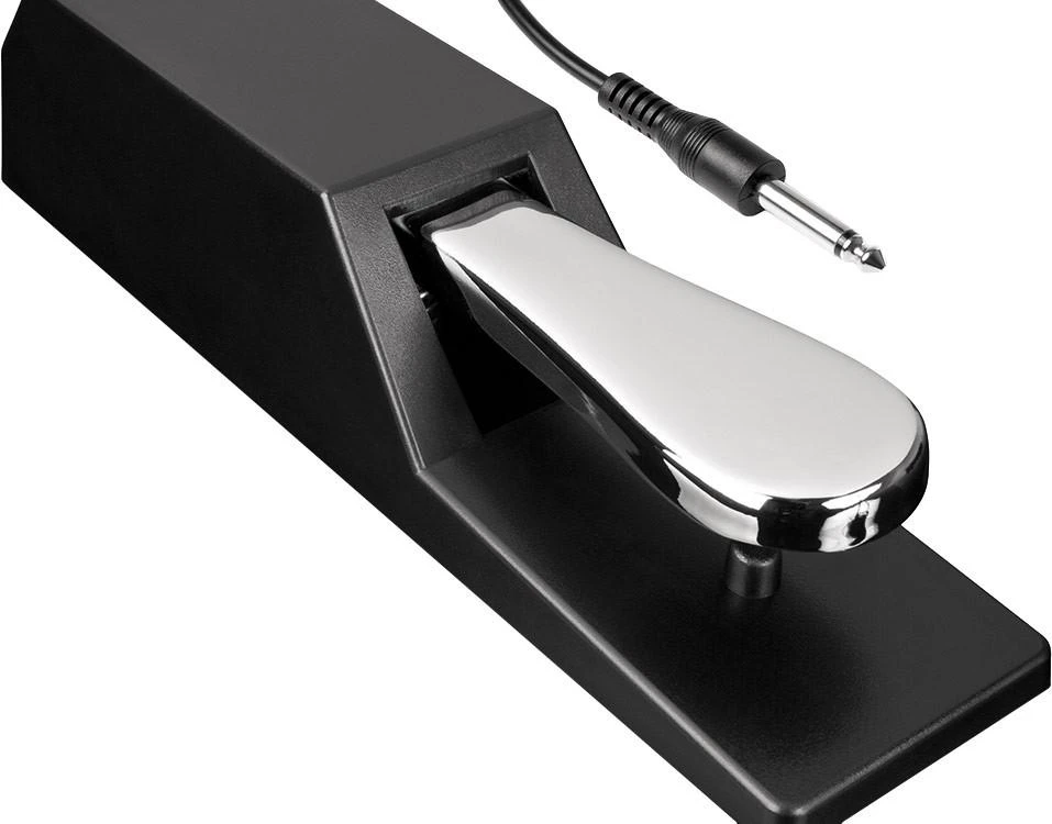 Alesis ASP2 Sustain Pedal - ASP2-PEDAL (1).jpg