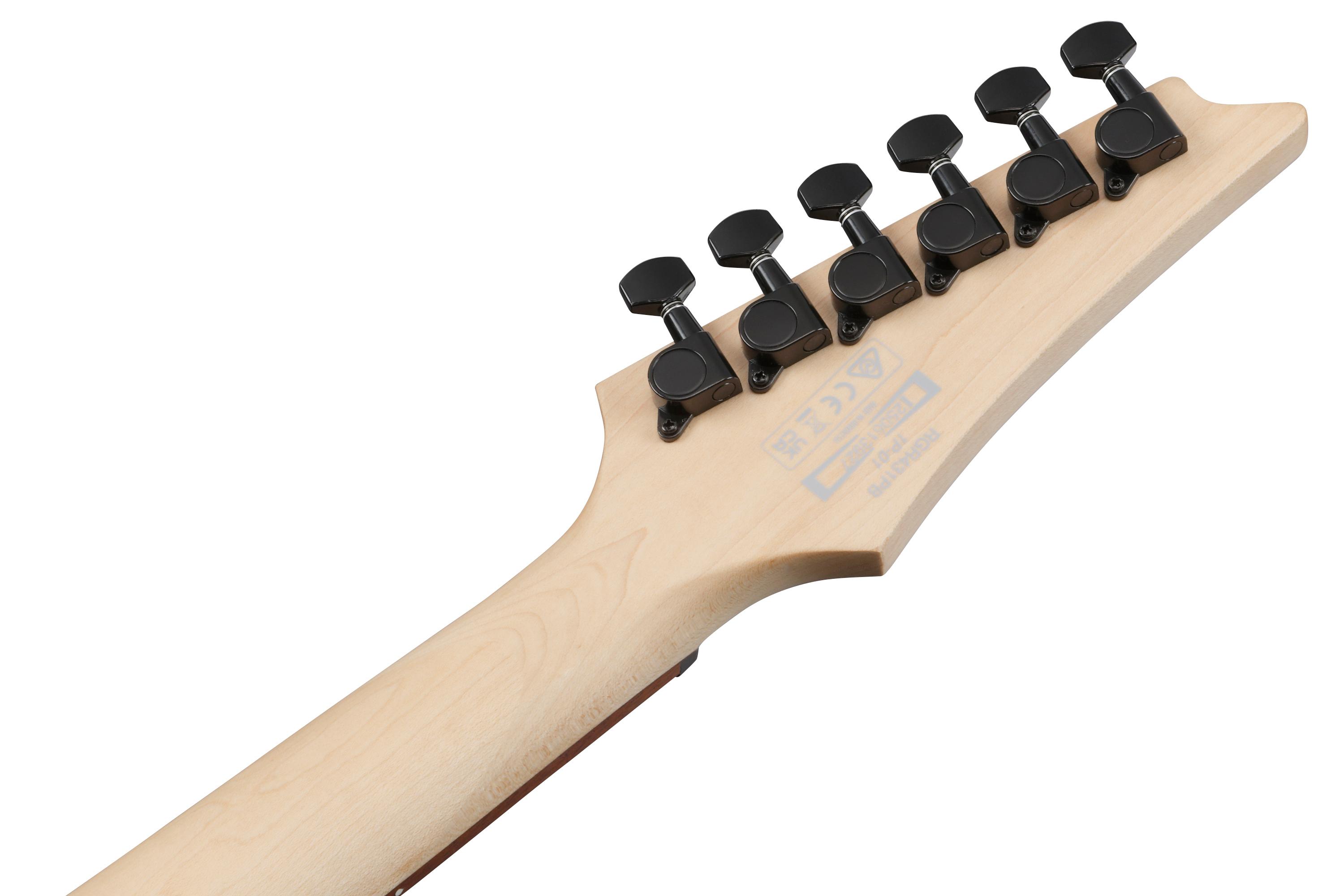 Ibanez RGR431PB-CGF RG Series Electric Guitar in Charcoal Gray Flat - RGR431PB_CGF_1P_01_K.jpg