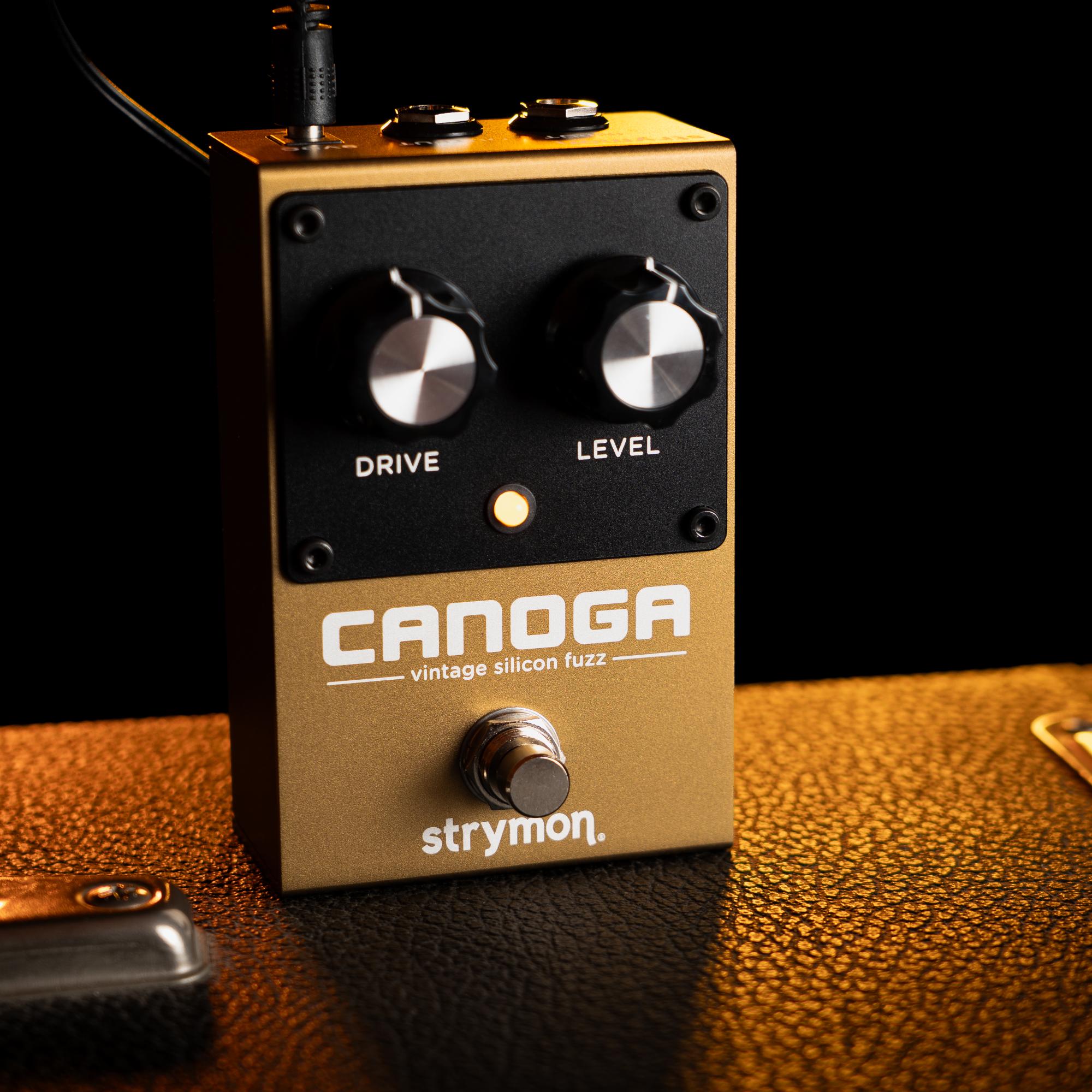 Strymon Canoga Vintage Silicon Fuzz Pedal - Andertons Music Co.