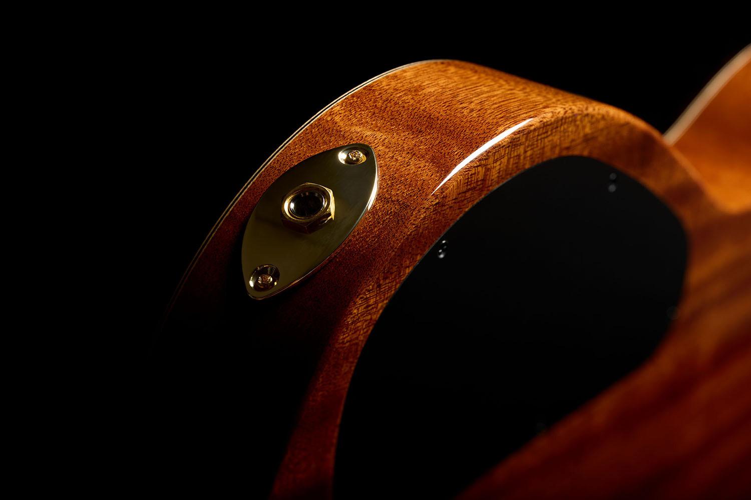 Cordoba Fusion Stage Artist Nylon Electro Acoustic in Habano Burst - jpeg (43).jpg