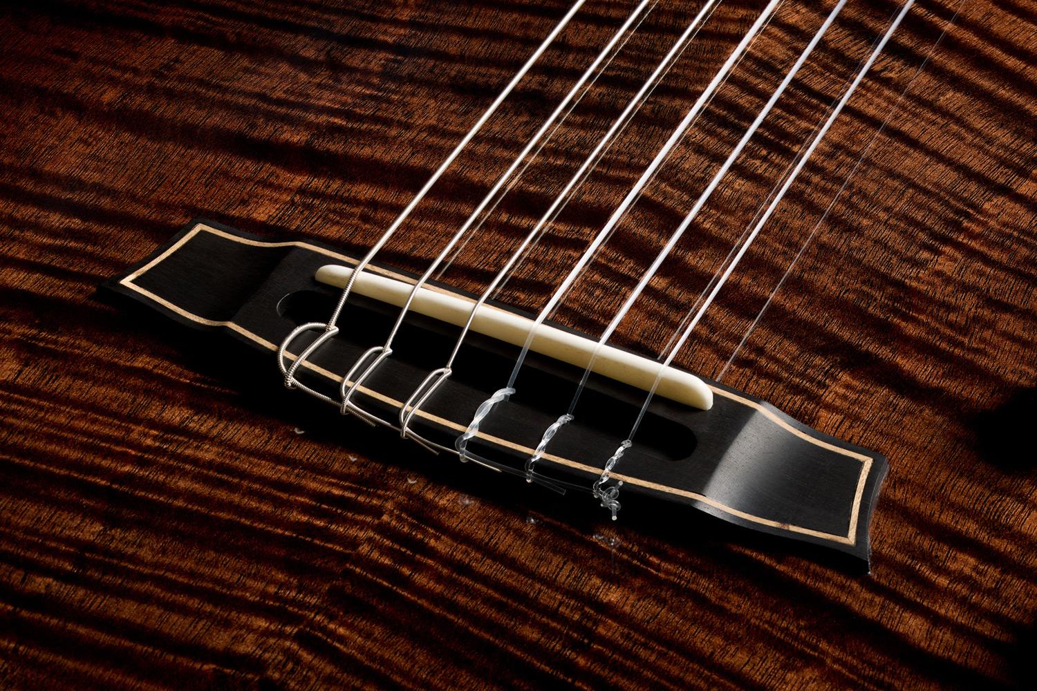 Cordoba Fusion Stage Artist Nylon Electro Acoustic in Habano Burst - jpeg (37).jpg