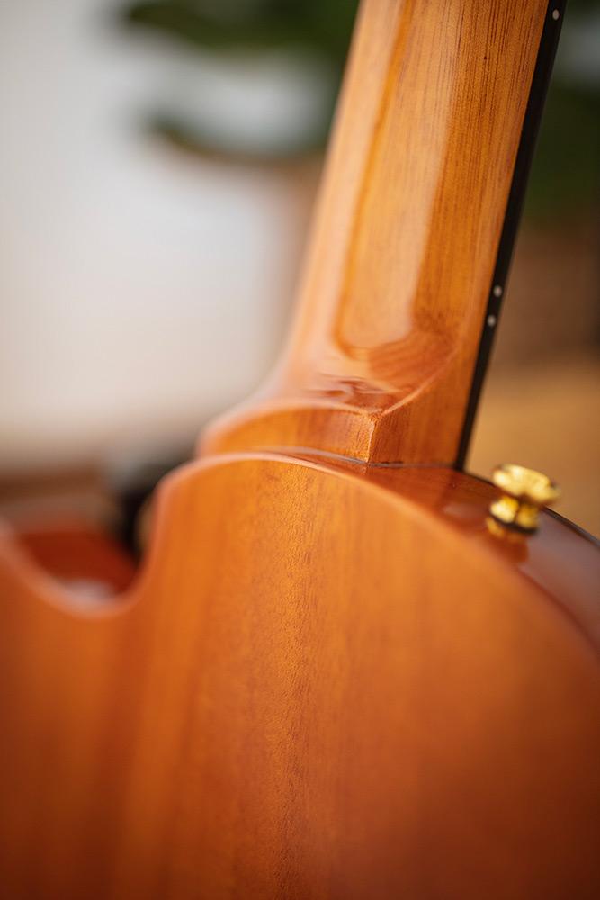 Cordoba Fusion Stage Nylon Electro Acoustic in Natural Amber - jpeg (79).jpg