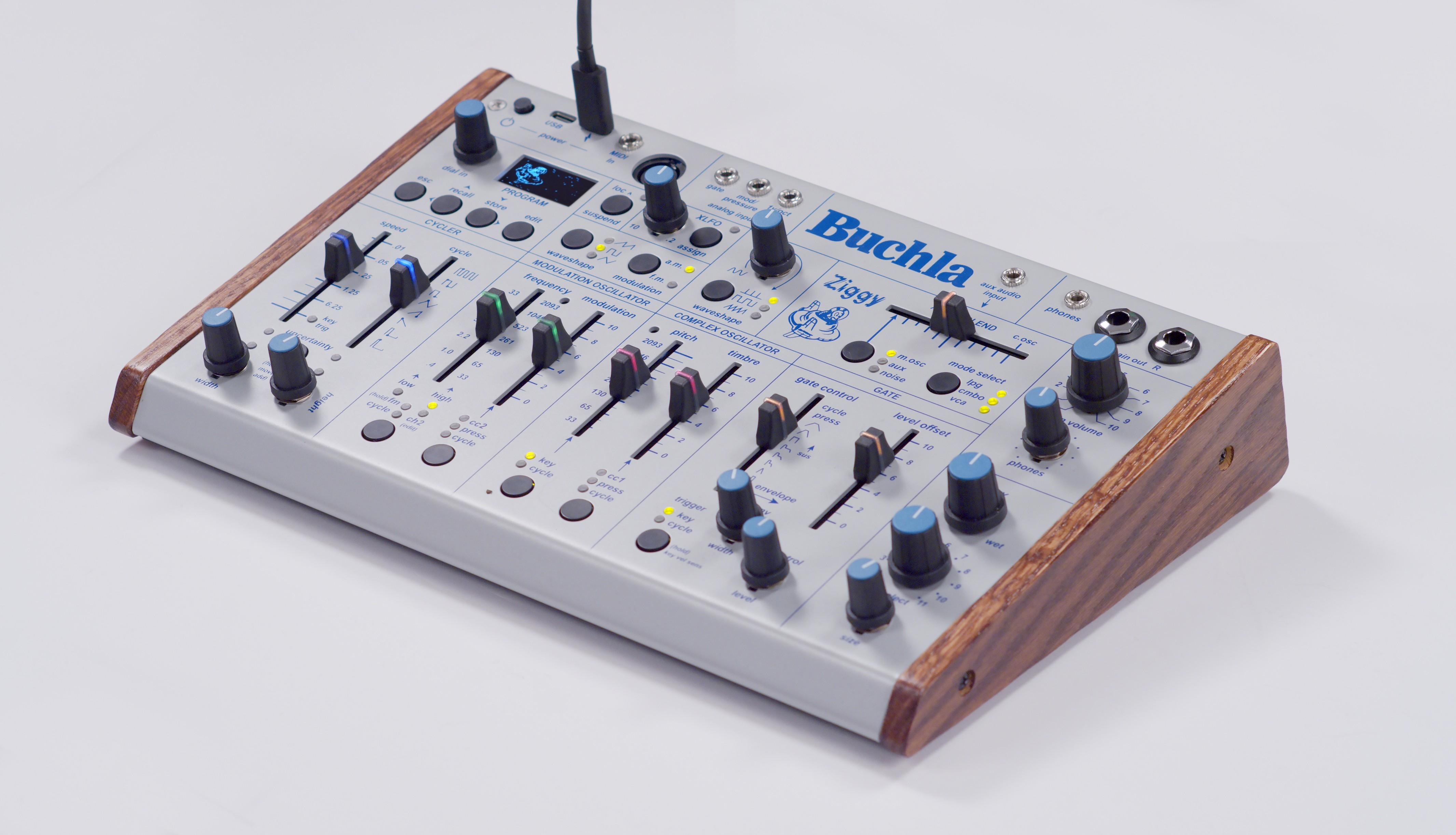 Buchla Ziggy Desktop Analogue Synthesizer - BU-ZIGGY (6).jpg
