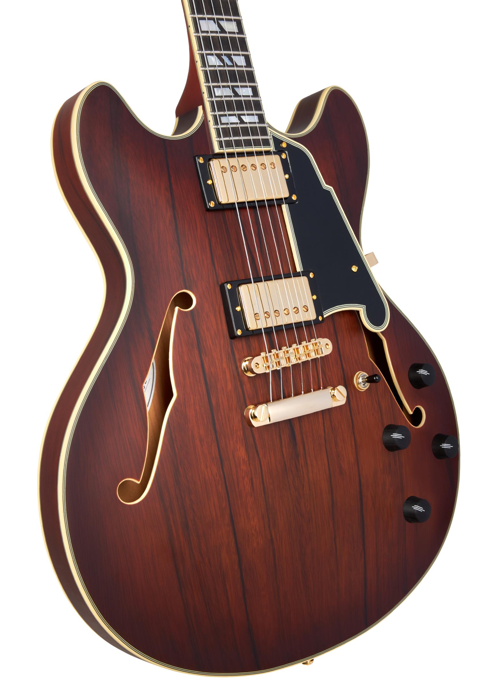 D’Angelico Deluxe DC Semi-Hollow Electric Guitar in Satin Brown Burst - DADDCSBBGS-Body-Angle.jpg
