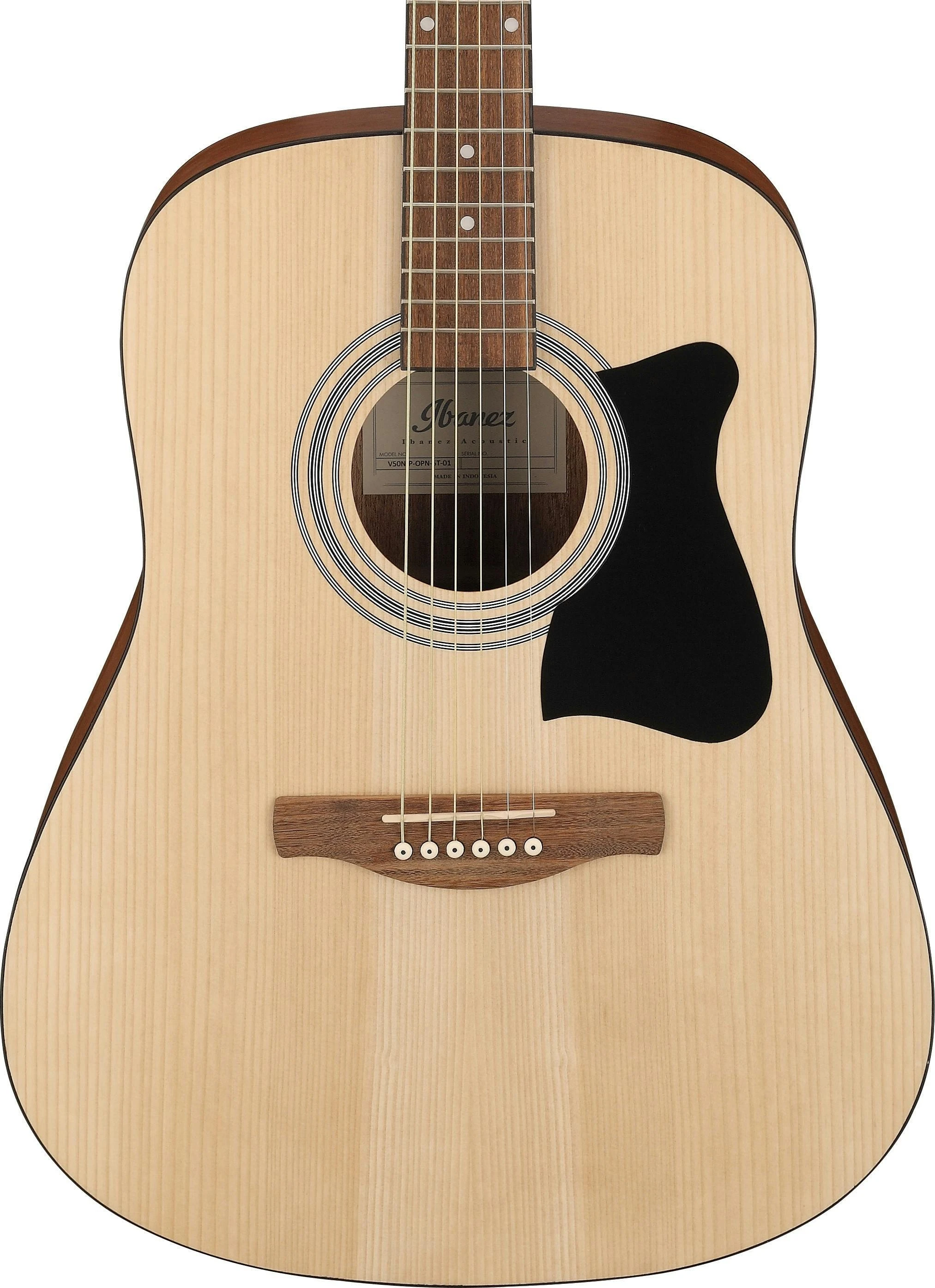 Ibanez VC50NJP-OPN Acoustic Guitar in Open Pore Natural - VC50NJP-OPN-1.jpg
