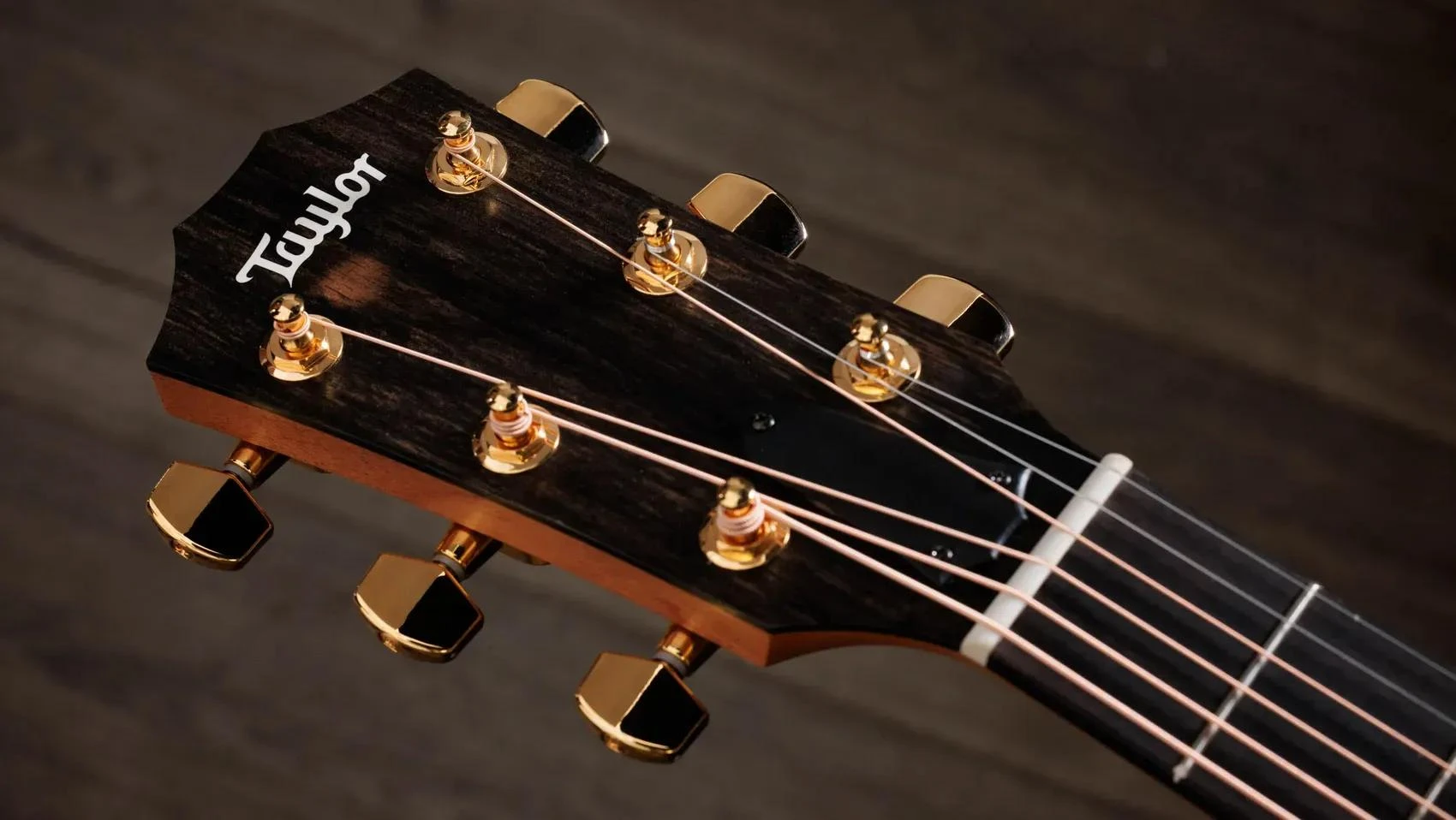 Taylor 224ce-K DLX Electro Acoustic in Koa - 224CE-KDLX-2-8.jpg