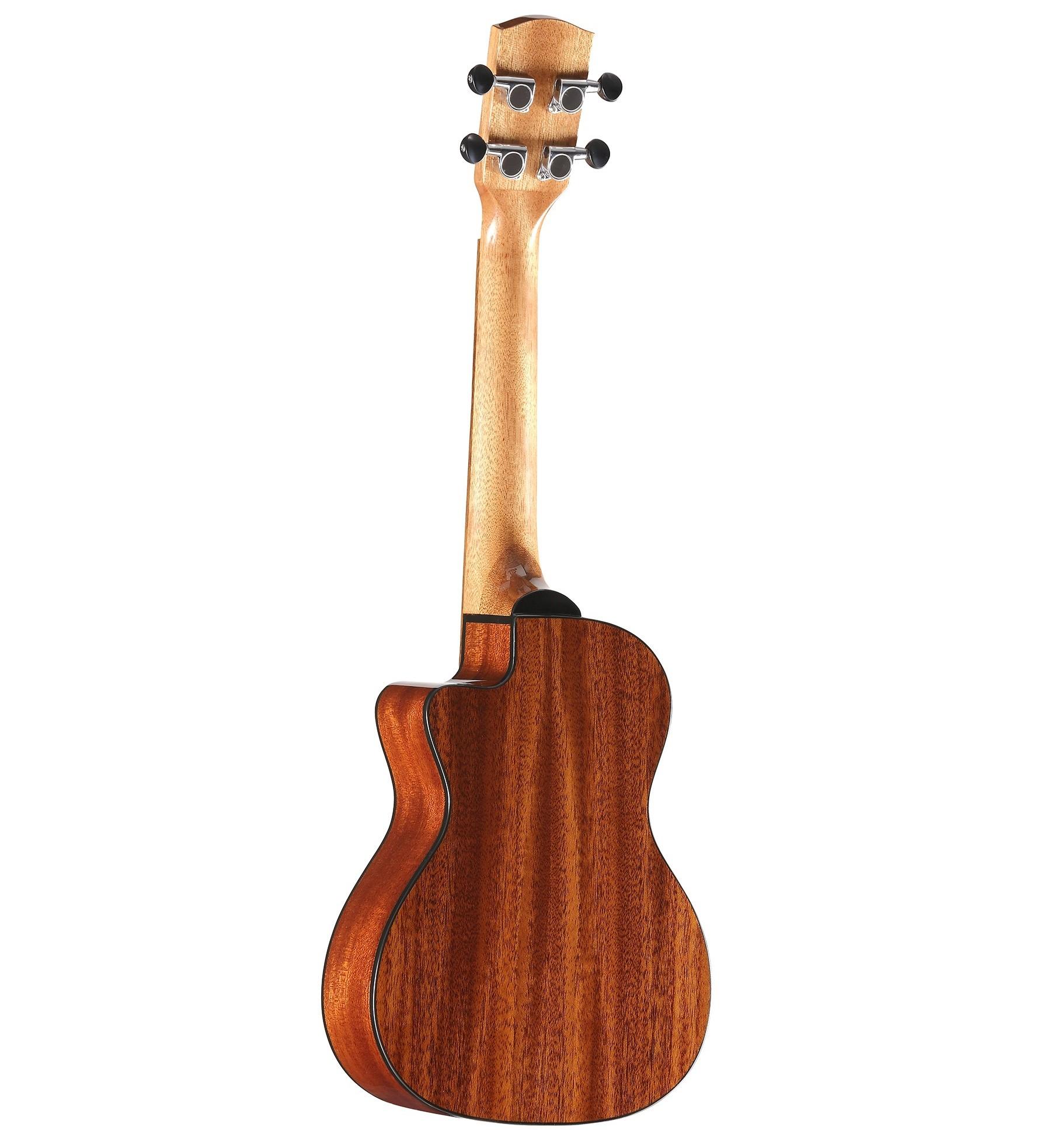 Alvarez Artist AU66CCESHB Electro Acoustic Concert Ukulele in Shadowburst - AU66CCESHB-Back-Angle.jpg