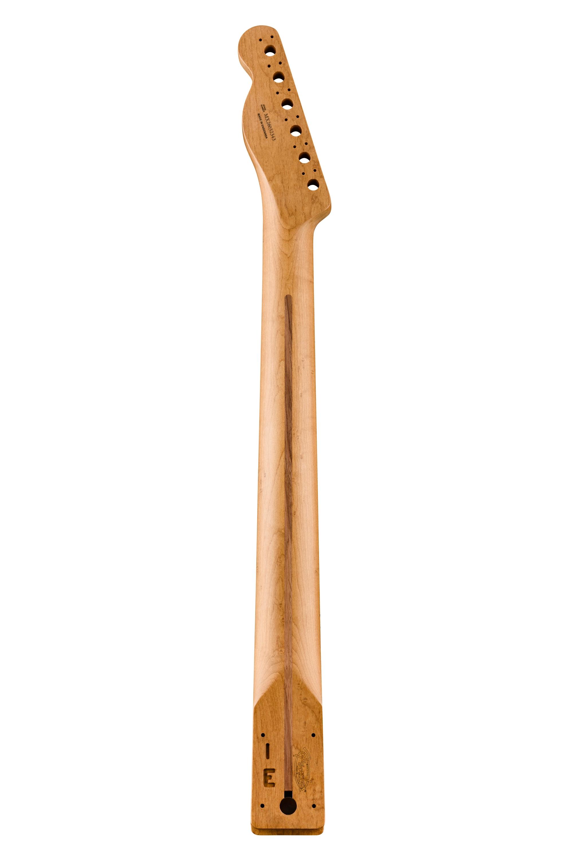 Fender Player II Series Telecaster Roasted Maple Neck, Maple Fretboard, 22 Medium Jumbo Frets, 9.5 inch Modern C profile - 0990552920_fen_nck_bck_1_rl.jpg