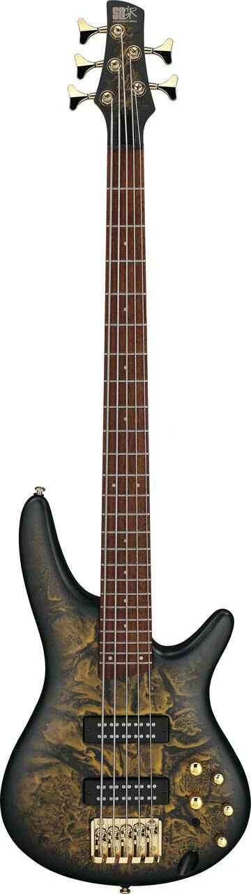 Ibanez SR305EDX 5 String Bass Guitar in Frozen Gold Matte - SR305EDX_FDM_1P_04_A.jpg