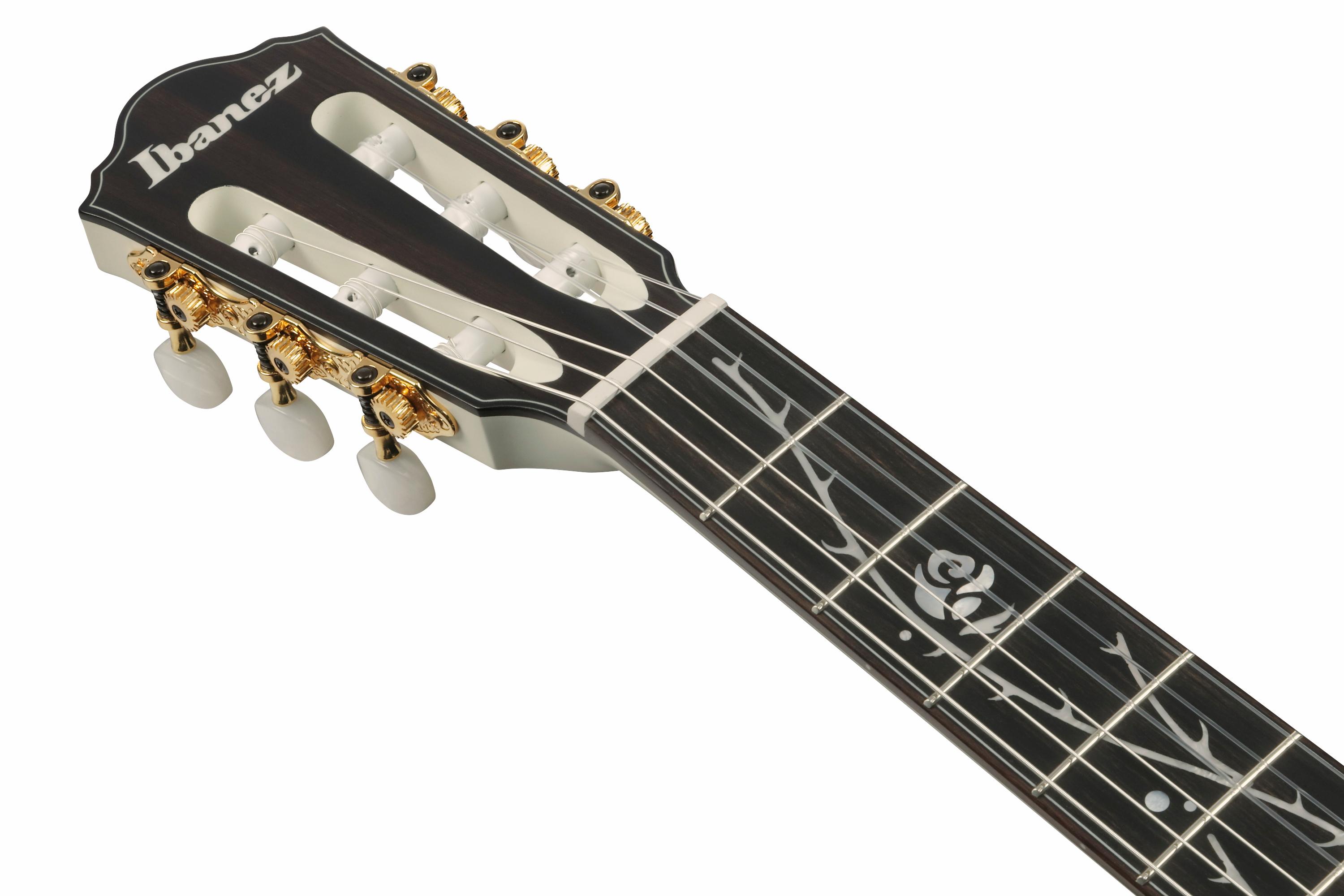Ibanez TOD100FMN Tim Henson Tree of Death Thinline Acoustic Guitar in Toasted Marshmallow Matte - TOD100FMN_TMM_1X_01_J.jpg