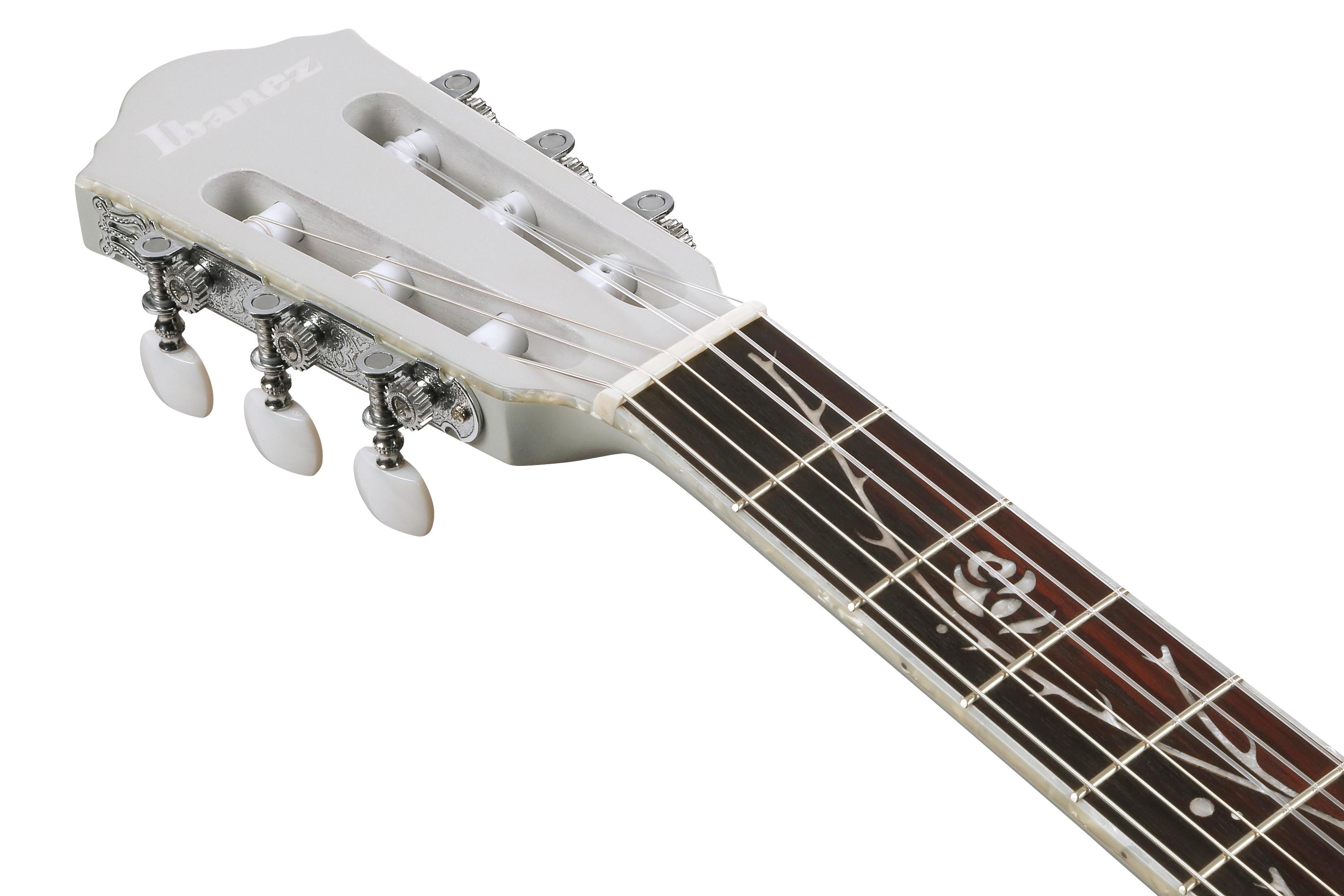 Ibanez TOD10N Tim Henson Tree of Death Thinline Acoustic Guitar in Silver Metallic Flat - TOD10N_SMF_5B_03_J.jpg