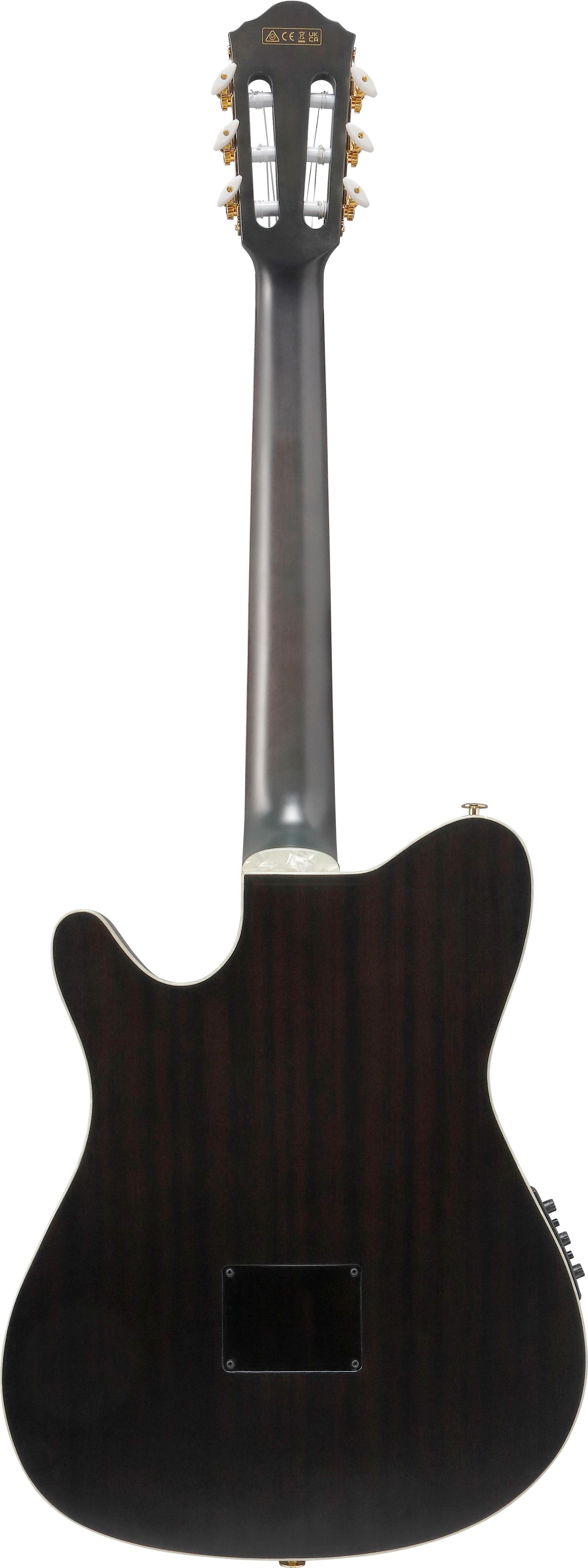Ibanez TOD10N Tim Henson Tree of Death Thinline Acoustic Guitar in Black Burst Fade Low Gloss - TOD20FMN_BFL_5B_01_C.jpg