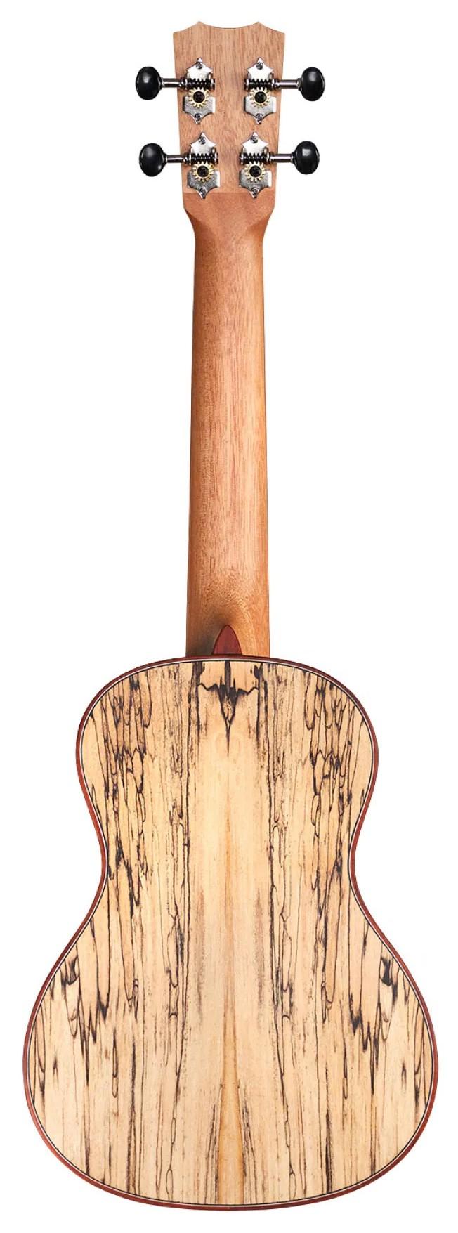Cordoba 24C Spruce Concert Ukulele - CUK24CSP 2.jpg