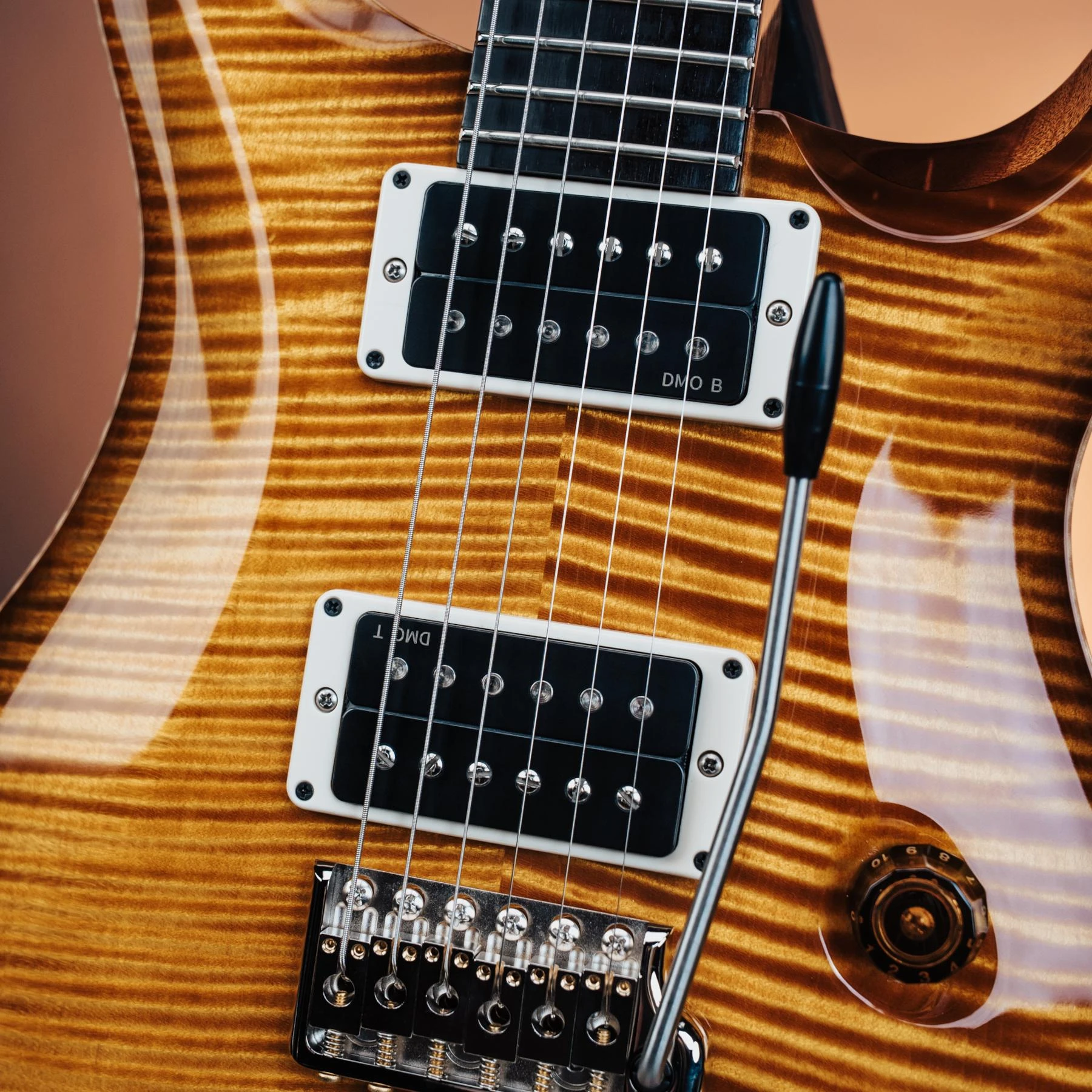 PRS Limited Edition Custom 24 “Birds of a Feather” Electric Guitar in Honey Gold - 1176943U-Pickups.jpg