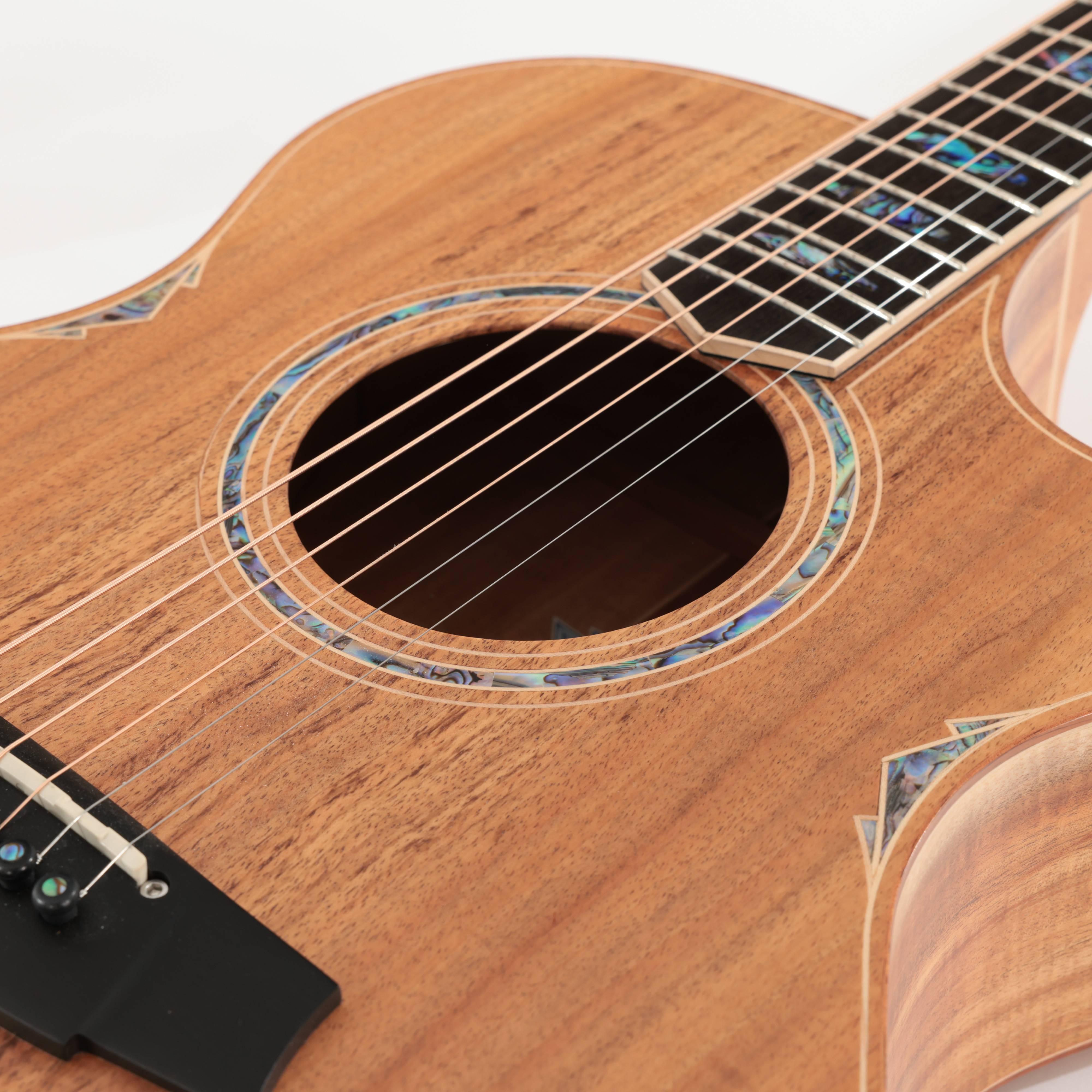 Second Hand Cole Clark Angel 3 AN3EC-BLBL Tasmanian Blackwood Acoustic Guitar 629 - SH-114-2629 (6).jpg