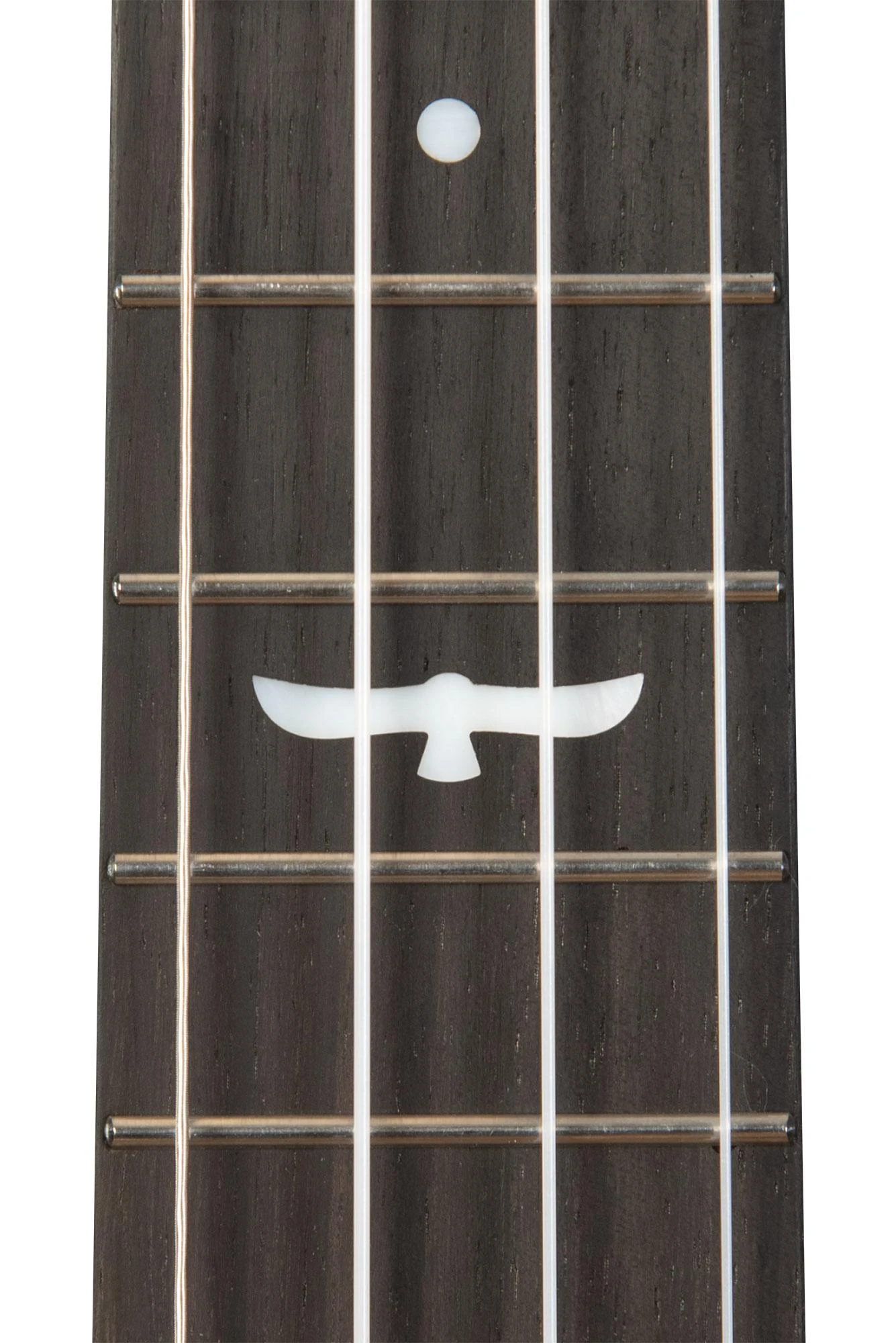 Kala Revelator Night Owl Acacia Electro Acoustic Tenor Ukulele - KA-OWL-ACA-TE_2.jpg