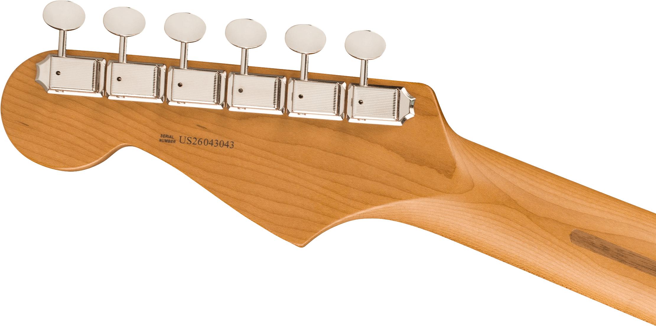 Fender American Professional Classic Stratocaster in Daphne Blue, Roasted Maple Fretboard - 0174942304_fen_ins_hbk_1_nr.jpg
