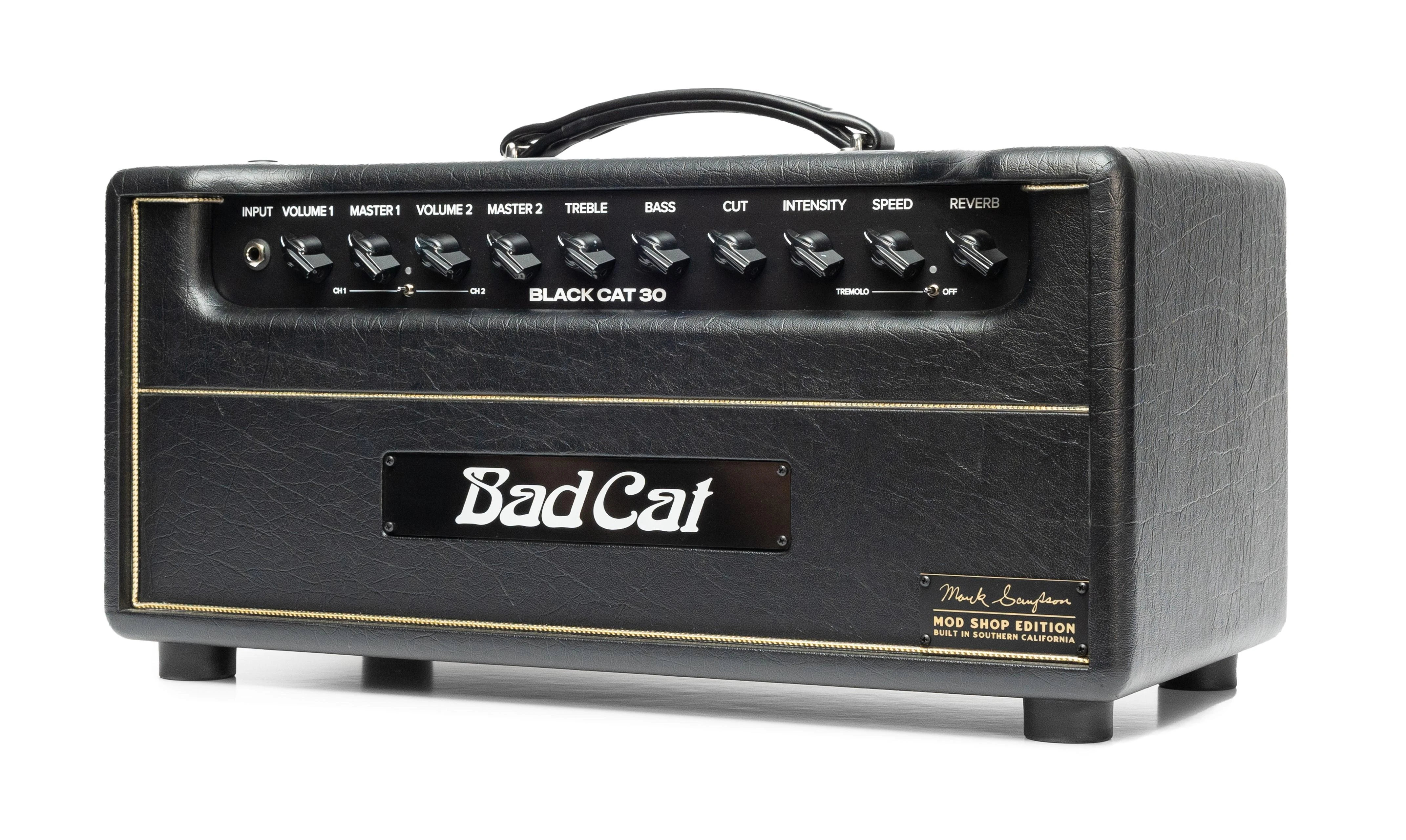 B Stock : Bad Cat Mod Shop Black Cat 30 Valve Amp Head - 012 - BCMS_30_head_right.jpg