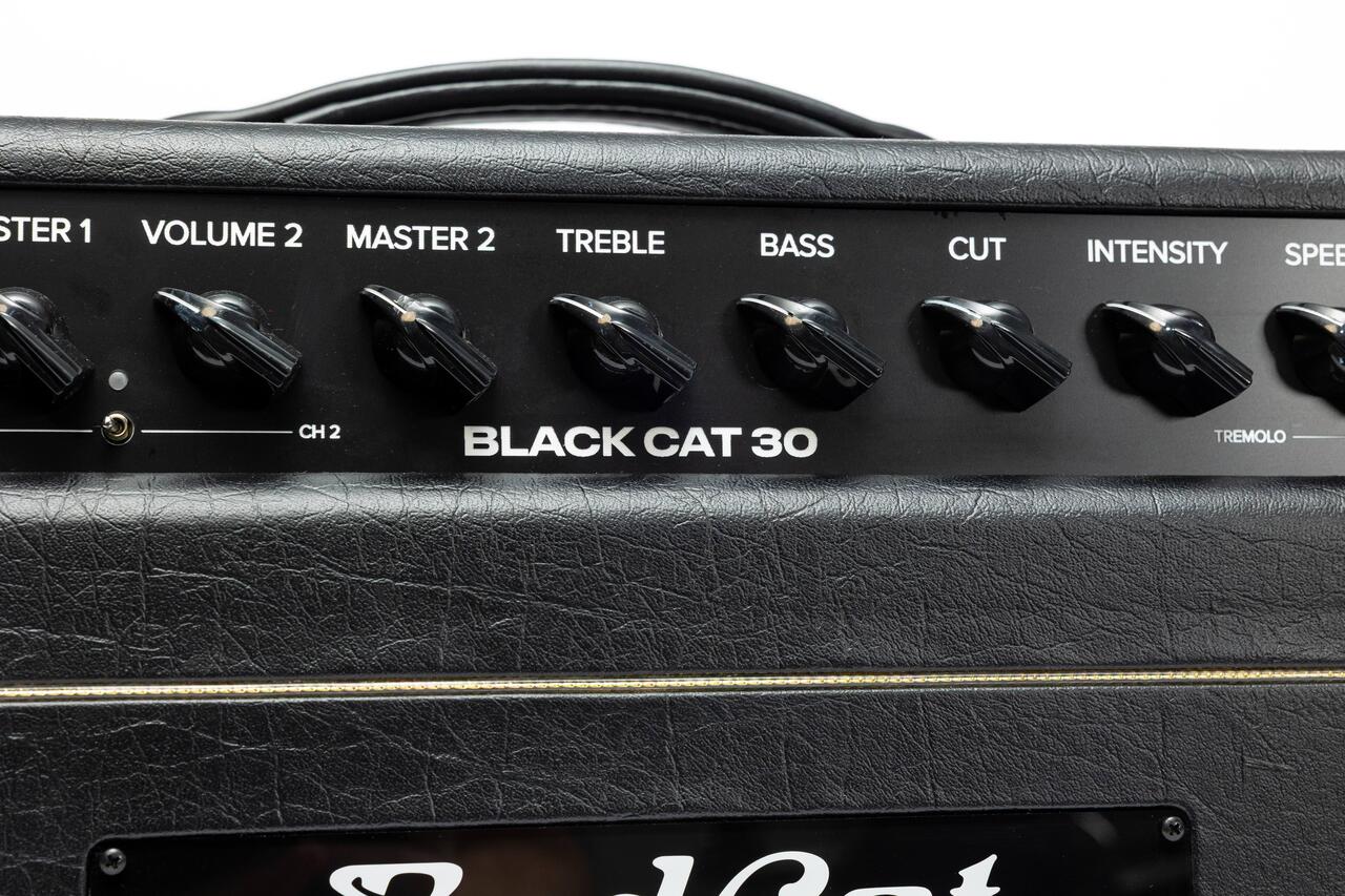B Stock : Bad Cat Mod Shop Black Cat 30 Valve Amp Head - 012 - BCMS_30_head_panel.jpg
