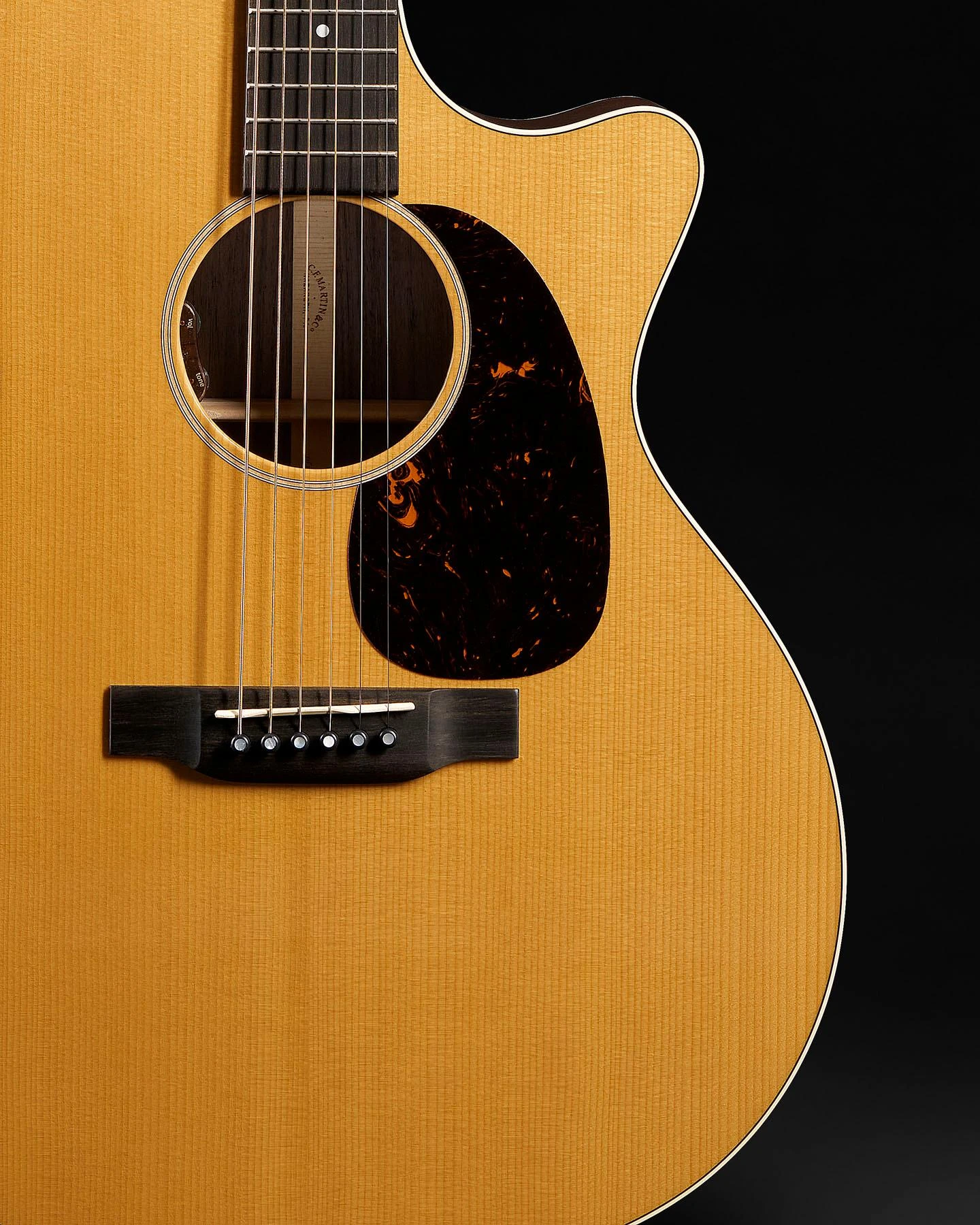 Martin GPC-16E Acoustic Guitar - GPC-16E_GLAM 6.jpg