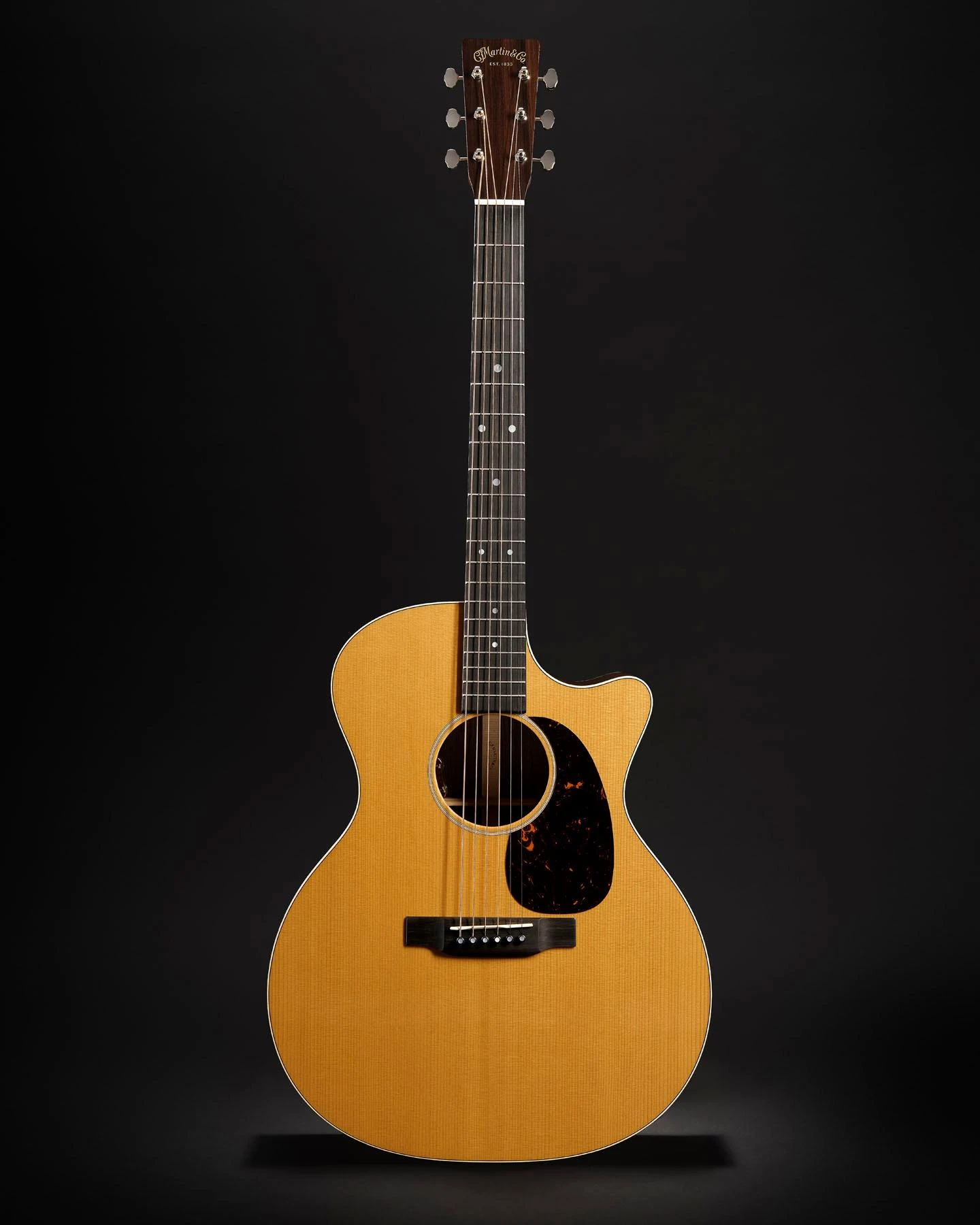 Martin GPC-16E Acoustic Guitar - GPC-16E_GLAM 5.jpg
