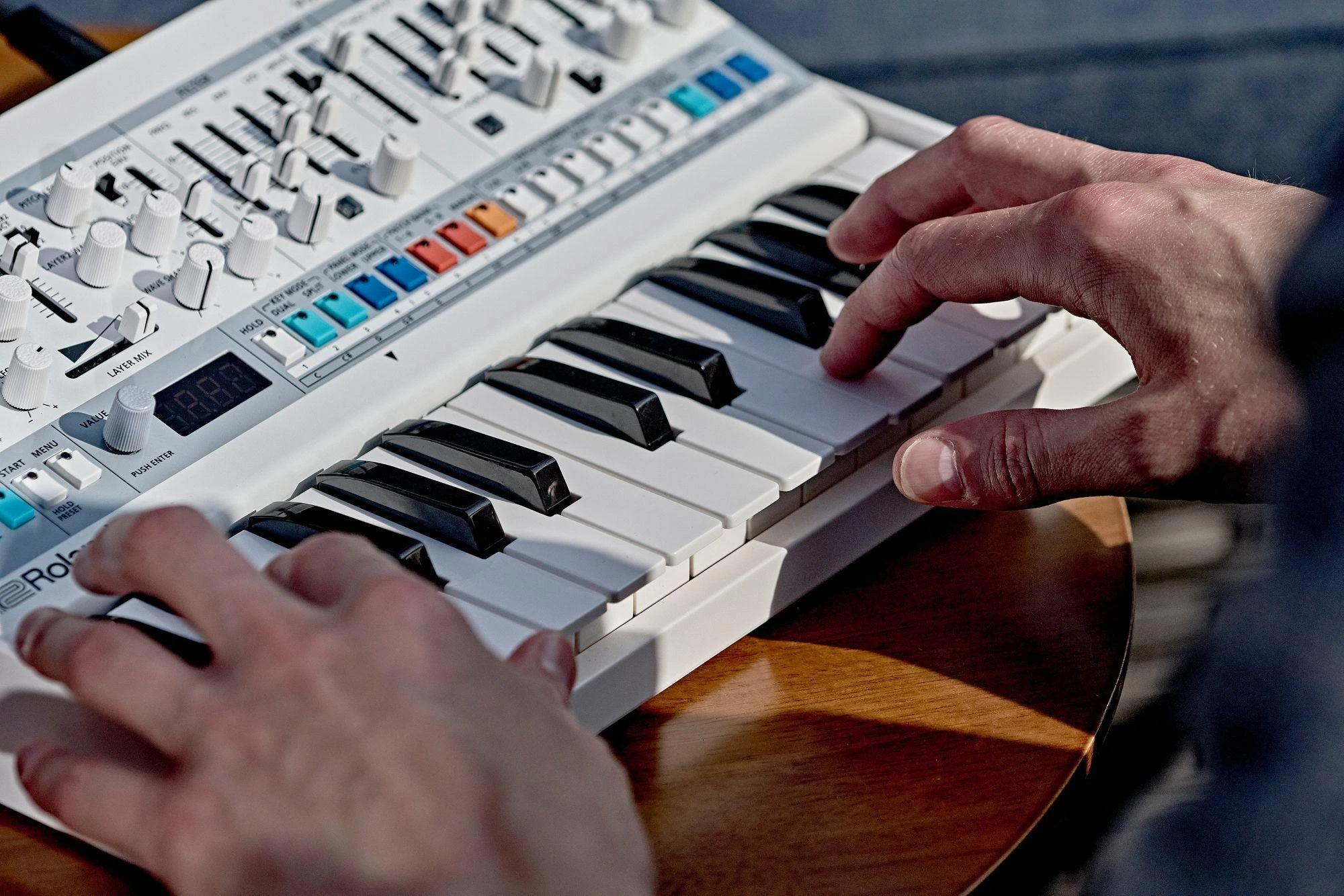 Roland N/vision Boutique Wavetable Synthesizer  - N-VISION (6).jpg