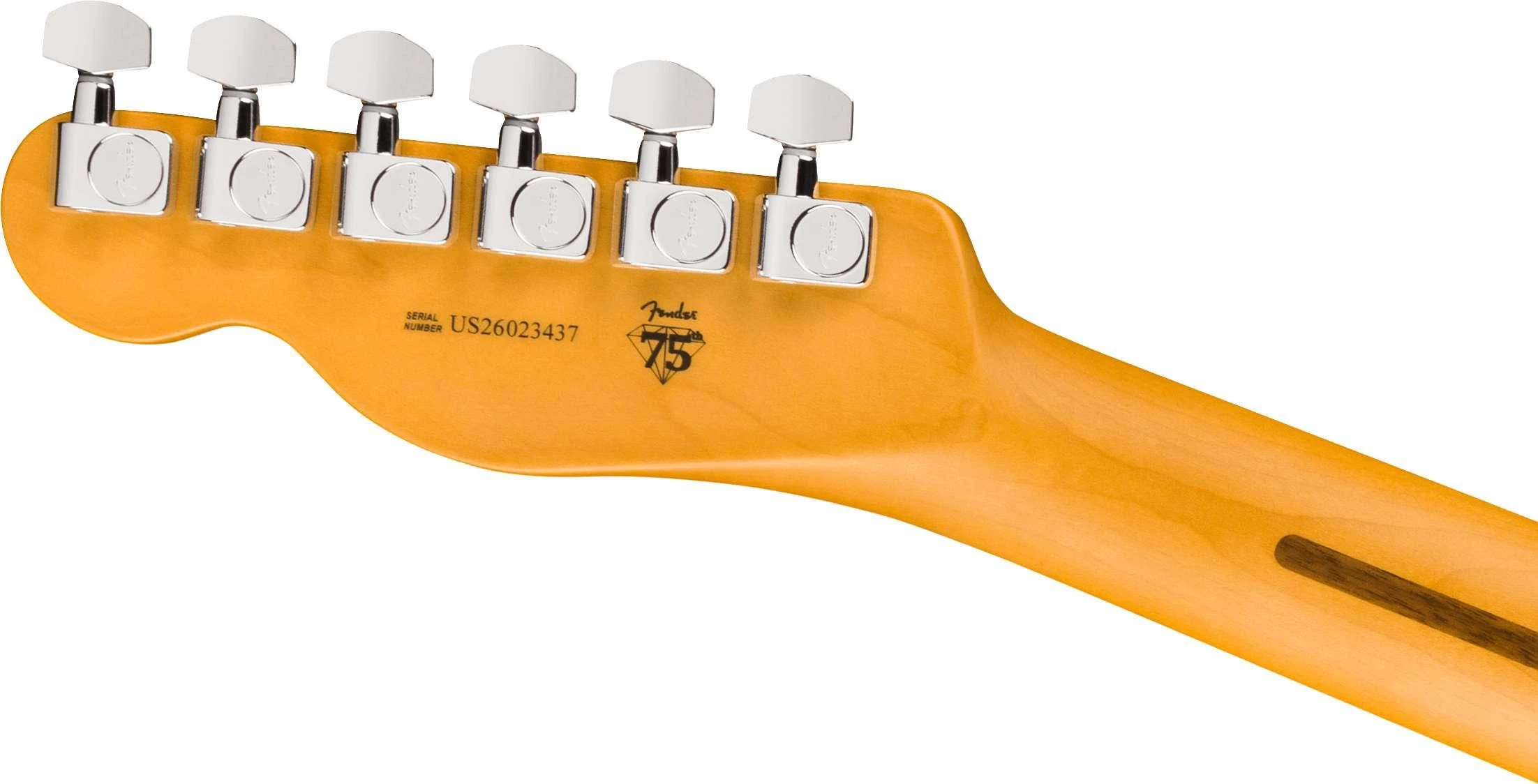 Fender American Professional Hot Shot Telecaster Electric Guitar in Dark Night, Rosewood Fingerboard - 0111520761 (6).jpg