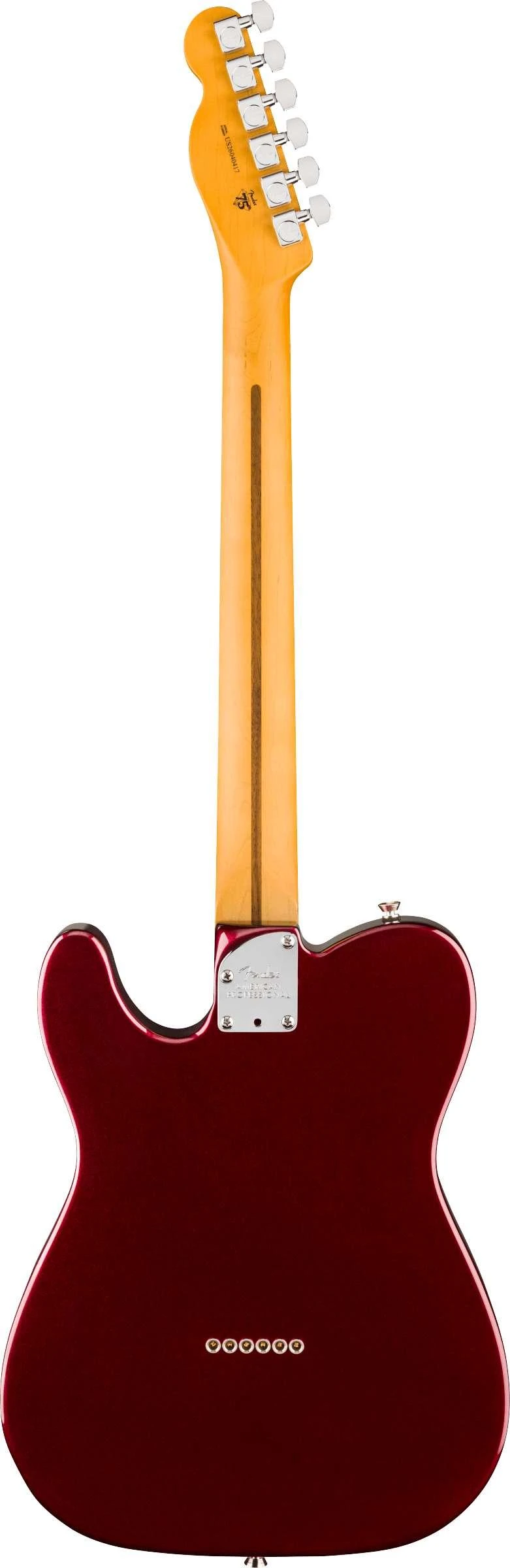 Fender American Professional Telecaster Electric Guitar in Oxblood, Rosewood Fingerboard - 0111140730 (2).jpg
