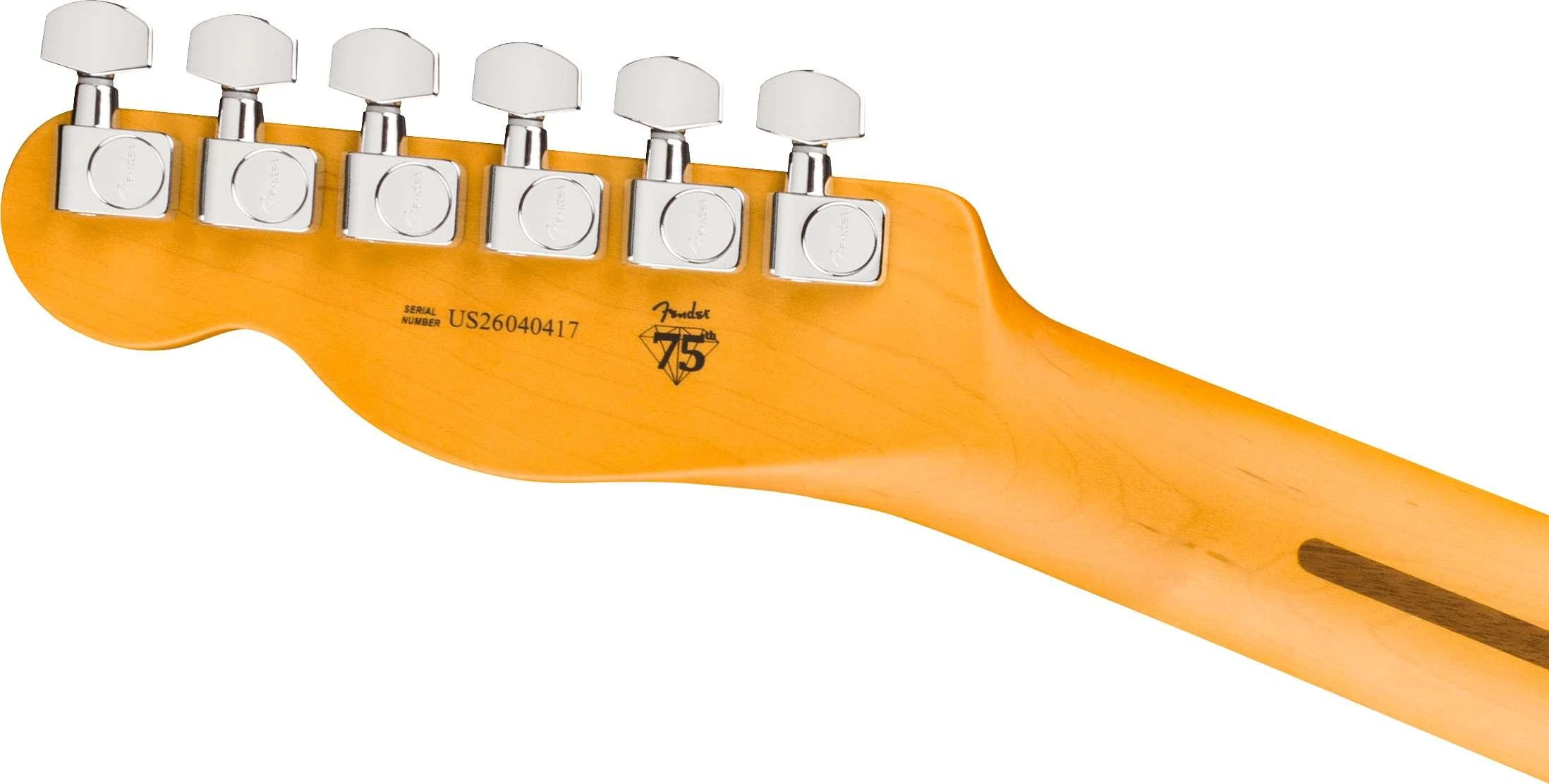 Fender American Professional Telecaster Electric Guitar in Oxblood, Rosewood Fingerboard - 0111140730 (6).jpg