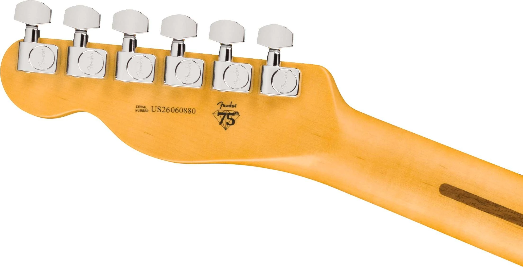 Fender American Professional Telecaster Electric Guitar in Black, Maple Fingerboard - 0111142706 (6).jpg