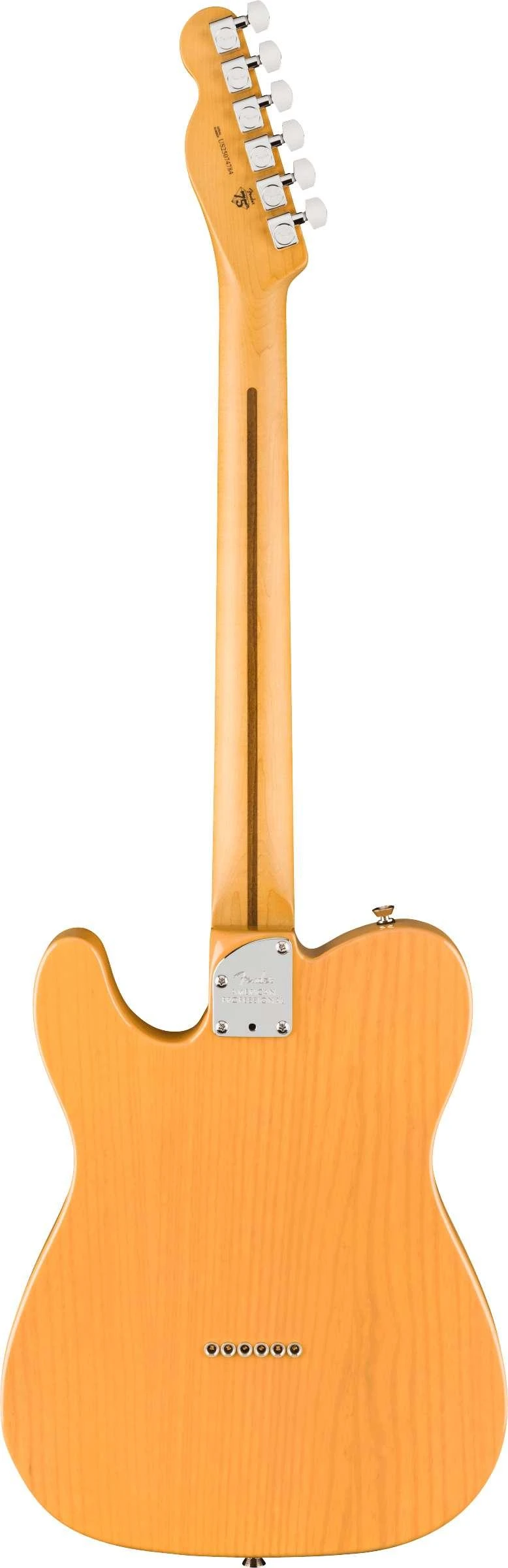 Fender American Professional Telecaster Electric Guitar in Butterscotch Blonde, Maple Fingerboard - 0111142750 (2).jpg