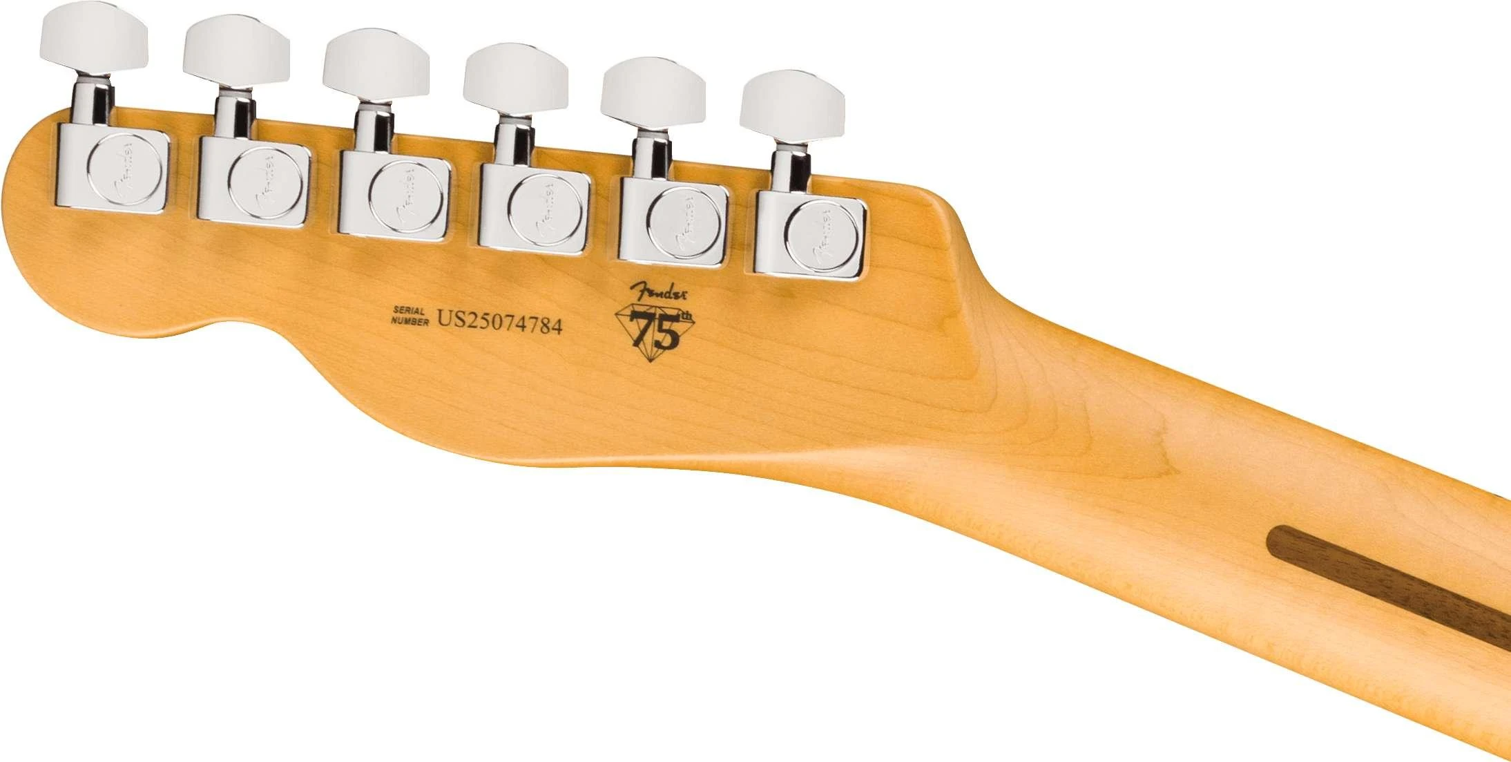 Fender American Professional Telecaster Electric Guitar in Butterscotch Blonde, Maple Fingerboard - 0111142750 (6).jpg