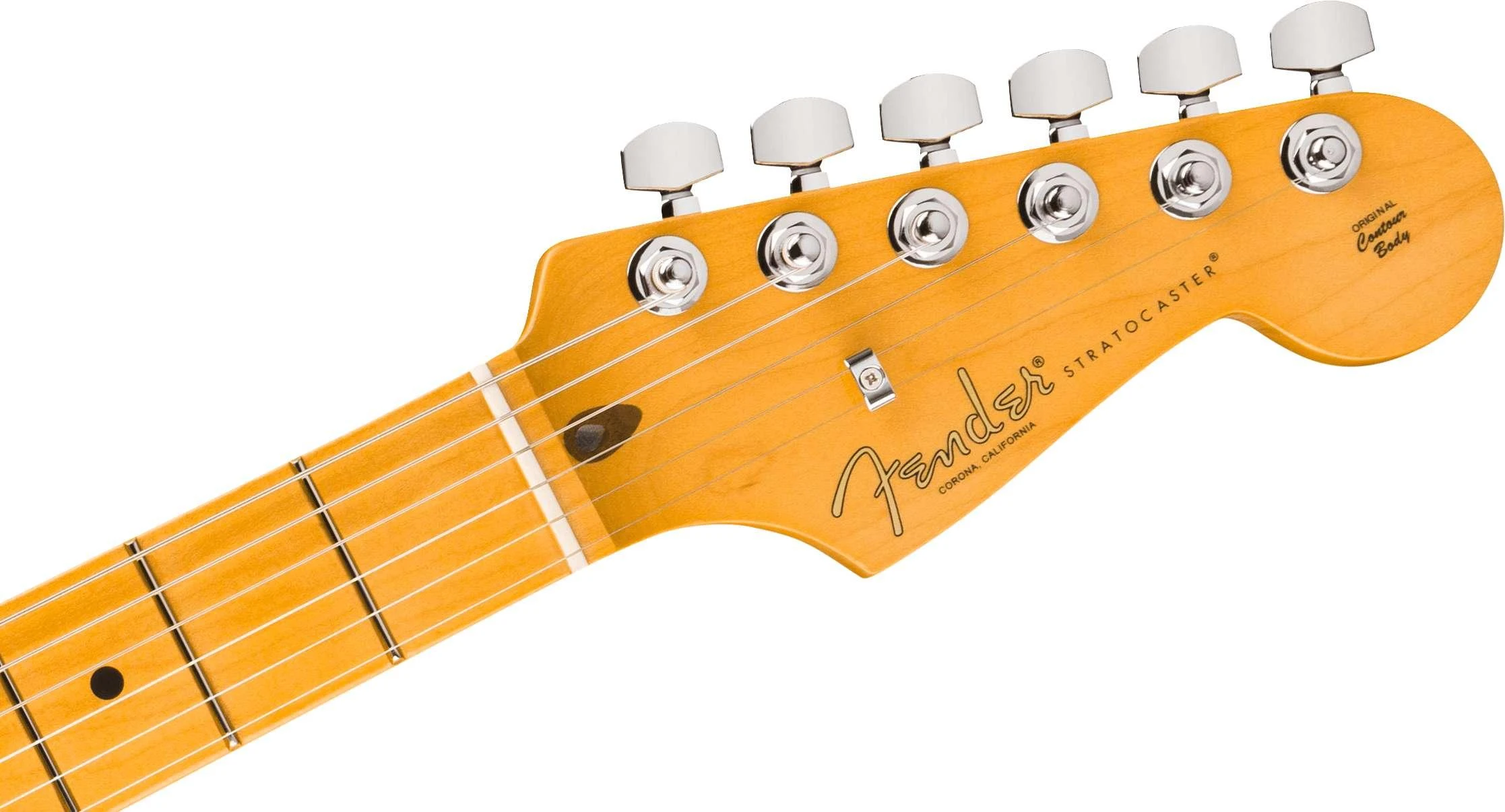 Fender American Professional Stratocaster Electric Guitar in Dark Night, Maple Fingerboard - 0111112761 (1).jpg
