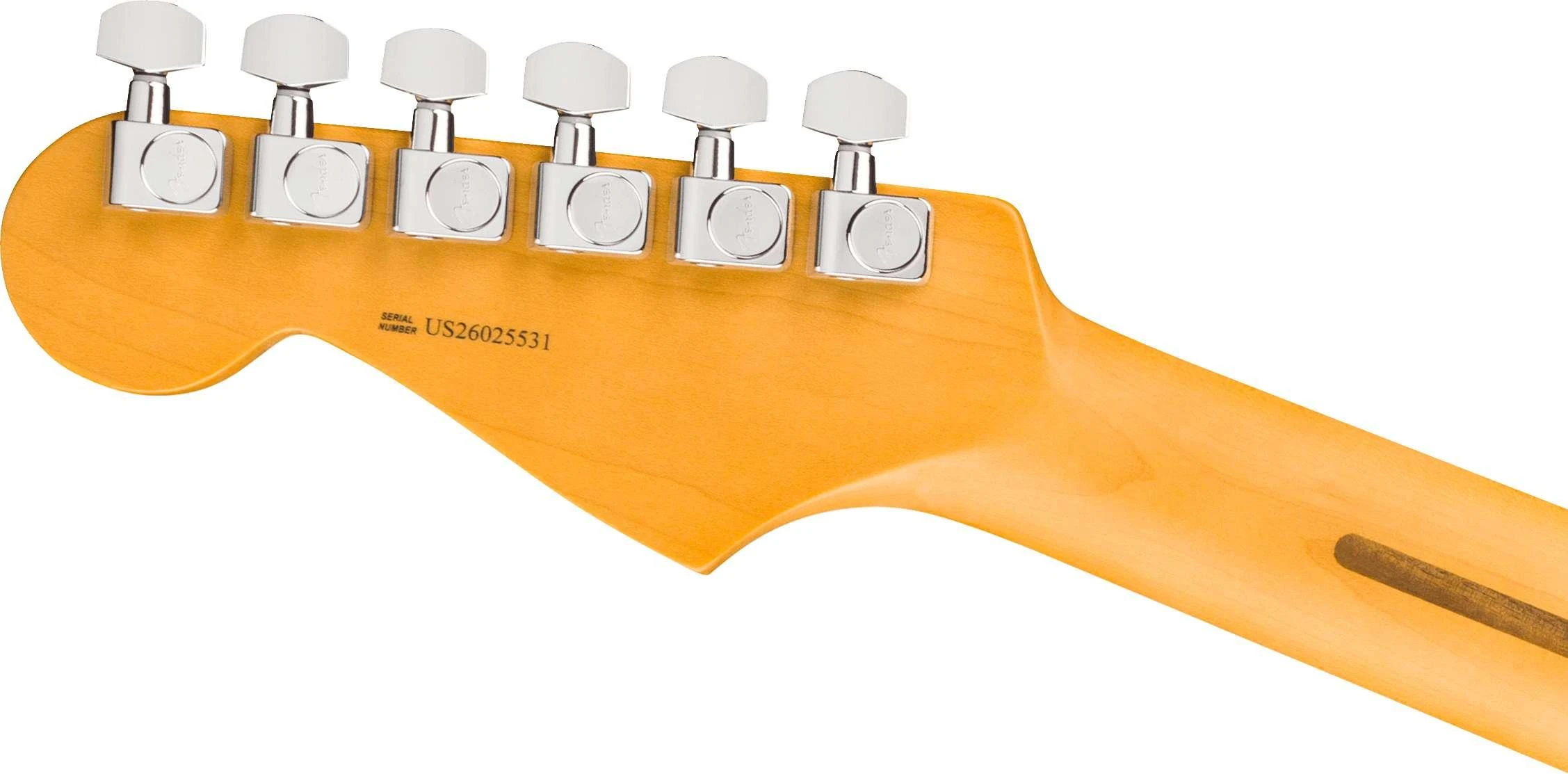 Fender American Professional Stratocaster Electric Guitar in Dark Night, Maple Fingerboard - 0111112761 (6).jpg