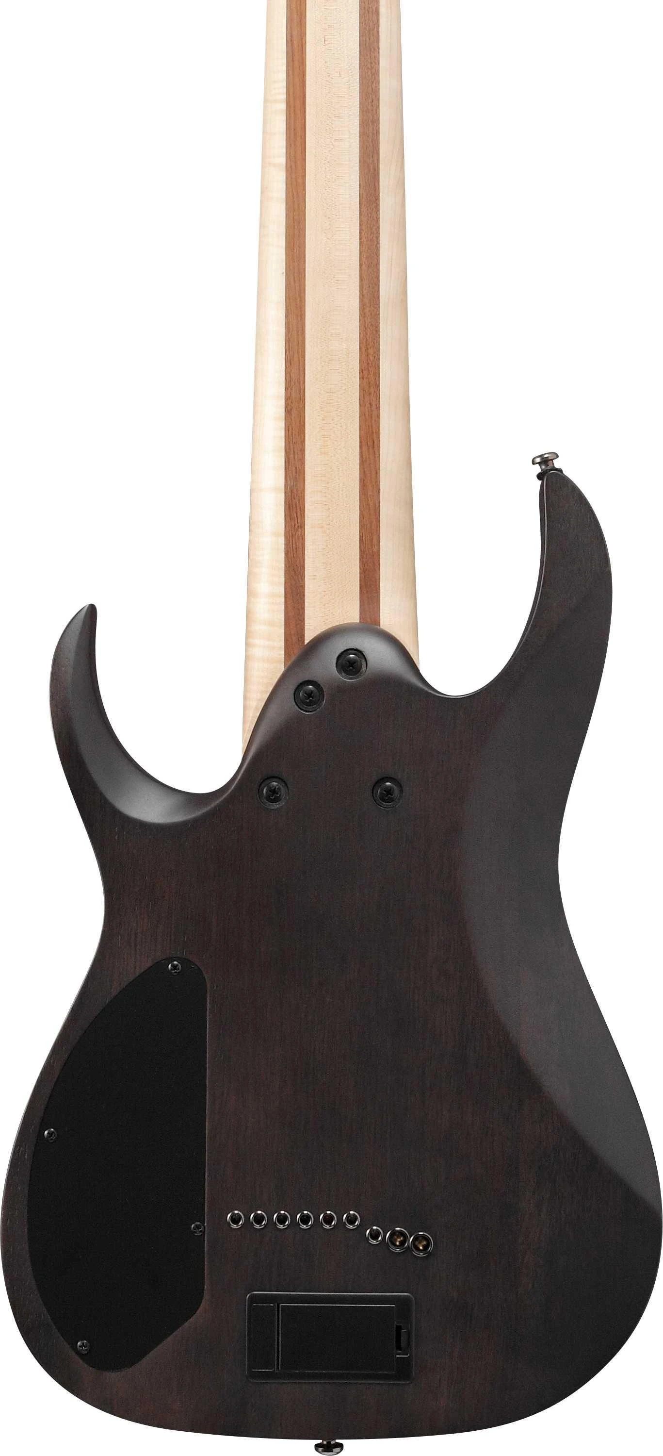 Ibanez RG9PB-TGF RG 9-String Electric Guitar in Transparent Grey Flat - RG9PB-TGF (10).jpg