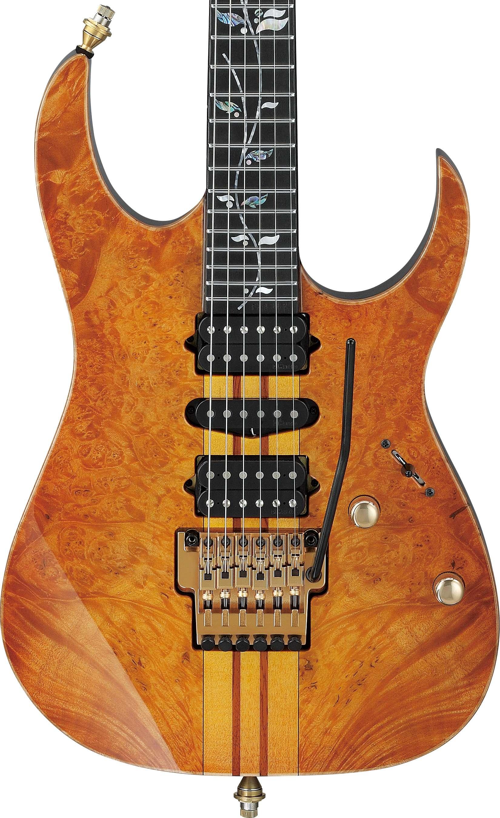 Ibanez IV1RG Custom Shop Visions Electric Guitar - IV1RG (3).jpg
