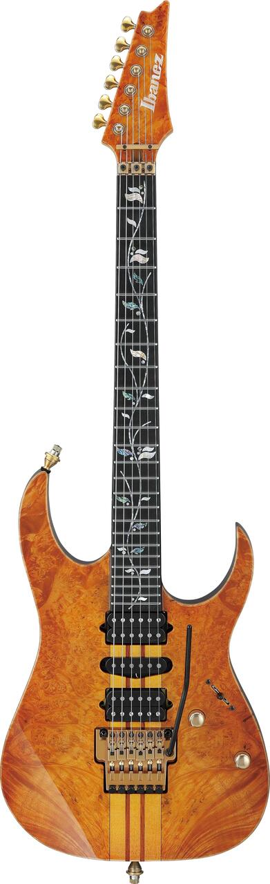 Ibanez IV1RG Custom Shop Visions Electric Guitar - IV1RG (1).jpg