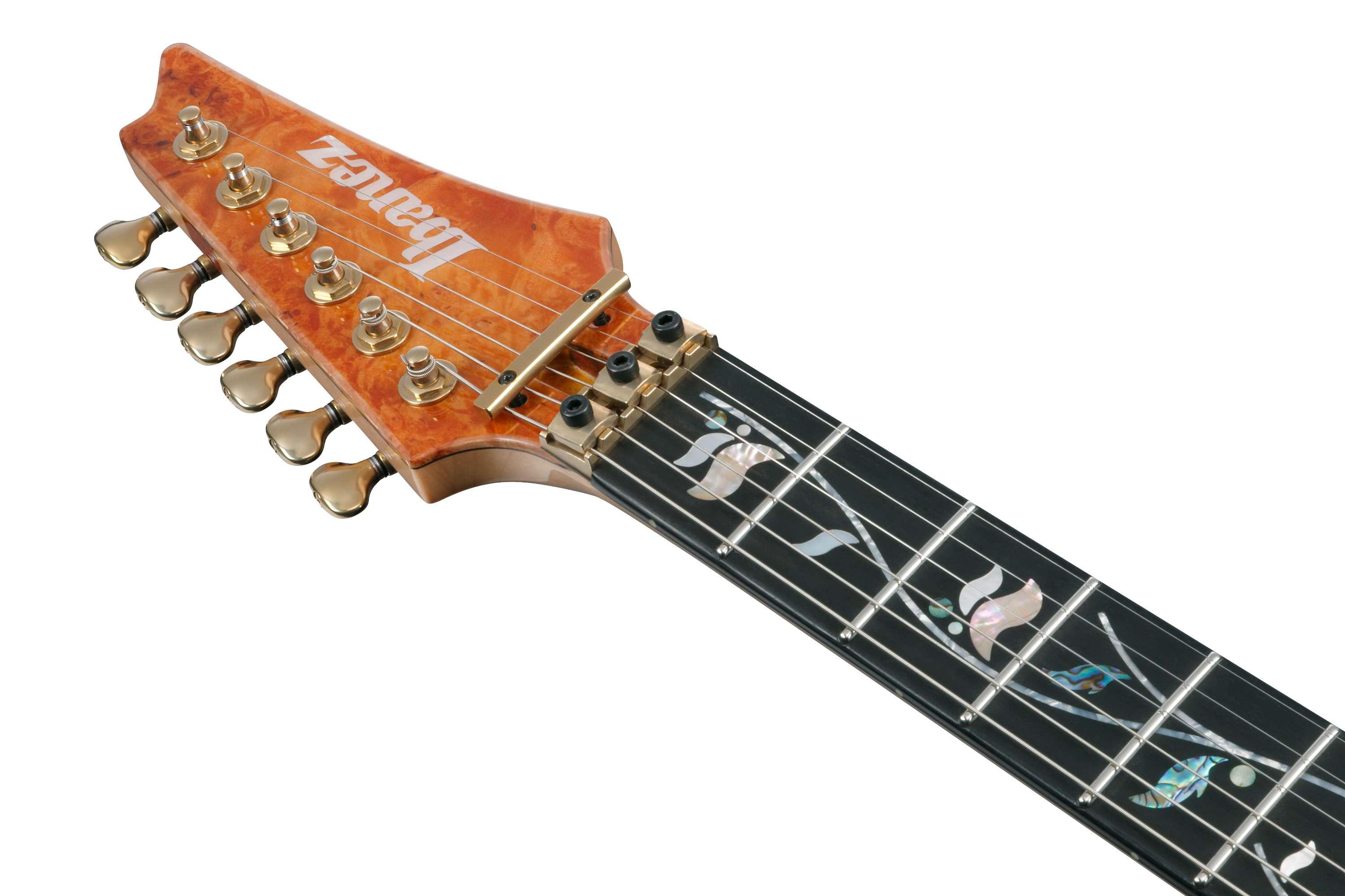 Ibanez IV1RG Custom Shop Visions Electric Guitar - IV1RG (11).jpg
