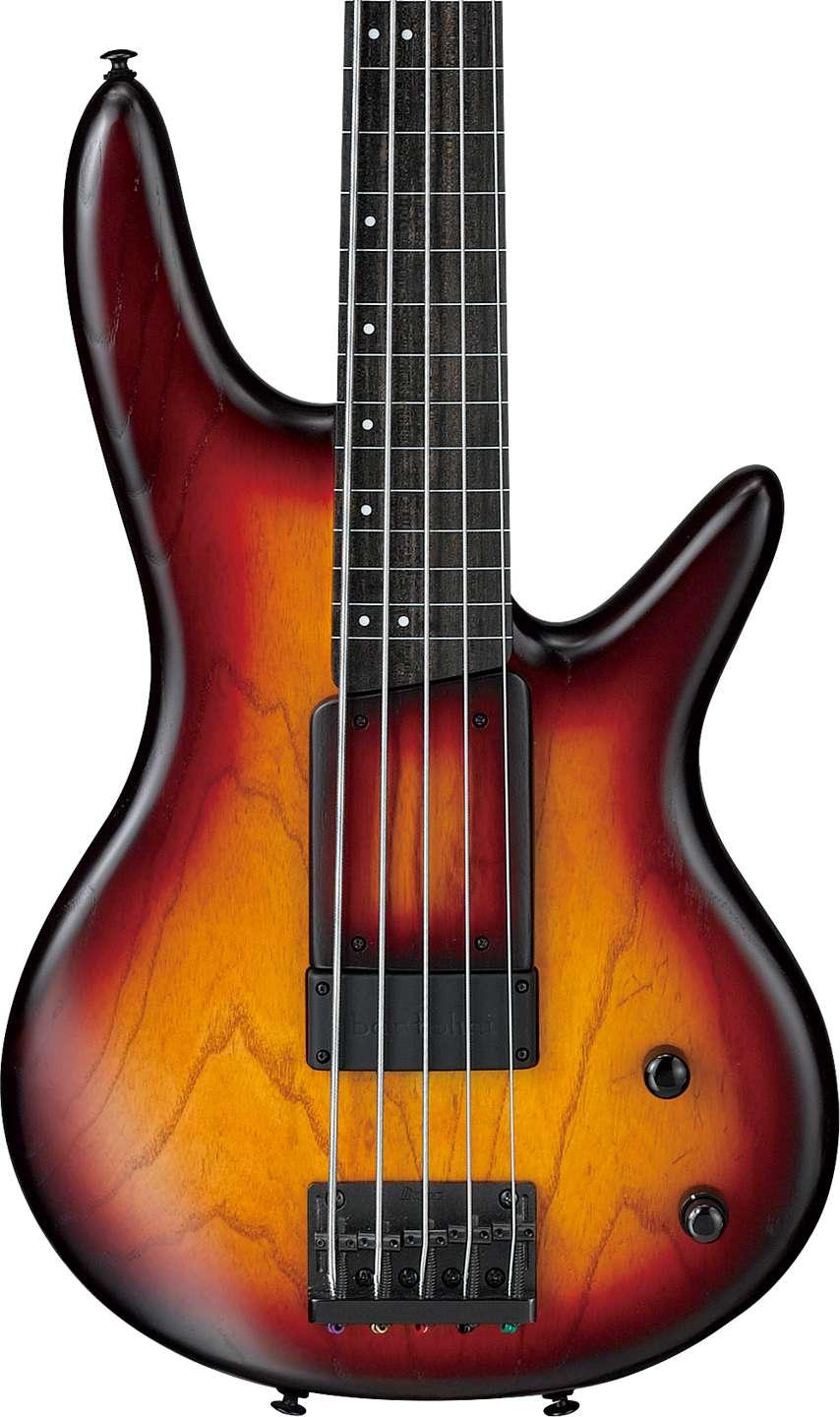 Ibanez GWB205-TQF Gary Willis Signature Fretless 5-String Bass Guitar in Tequila Sunrise Flat - GWB205-TQF (8).jpg