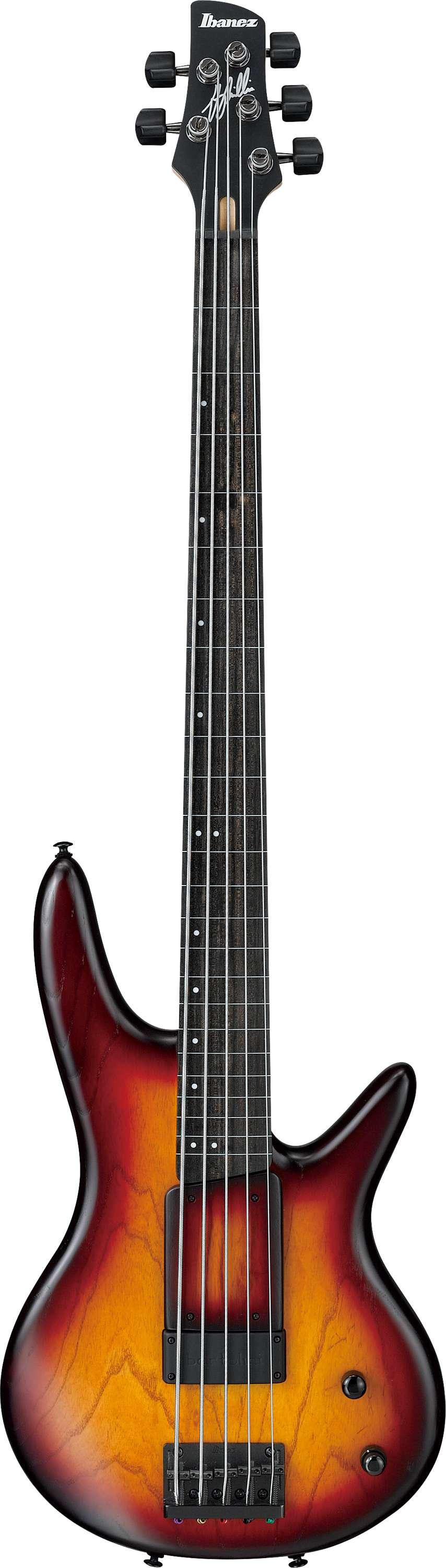 Ibanez GWB205-TQF Gary Willis Signature Fretless 5-String Bass Guitar in Tequila Sunrise Flat - GWB205-TQF (8)-2.jpg