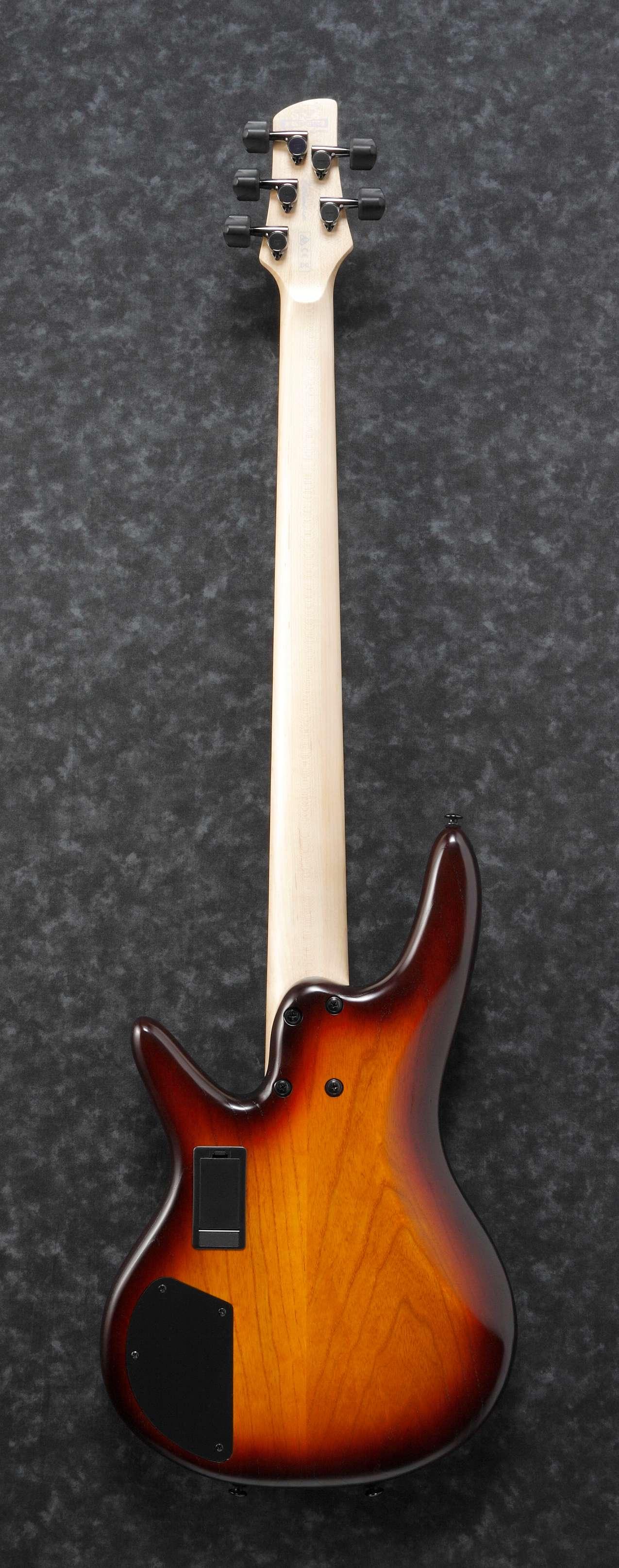 Ibanez GWB205-TQF Gary Willis Signature Fretless 5-String Bass Guitar in Tequila Sunrise Flat - GWB205-TQF (1).jpg