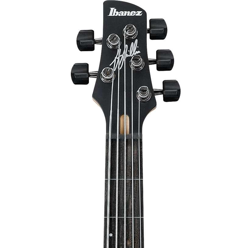 Ibanez GWB205-TQF Gary Willis Signature Fretless 5-String Bass Guitar in Tequila Sunrise Flat - GWB205-TQF (8)-3.jpg