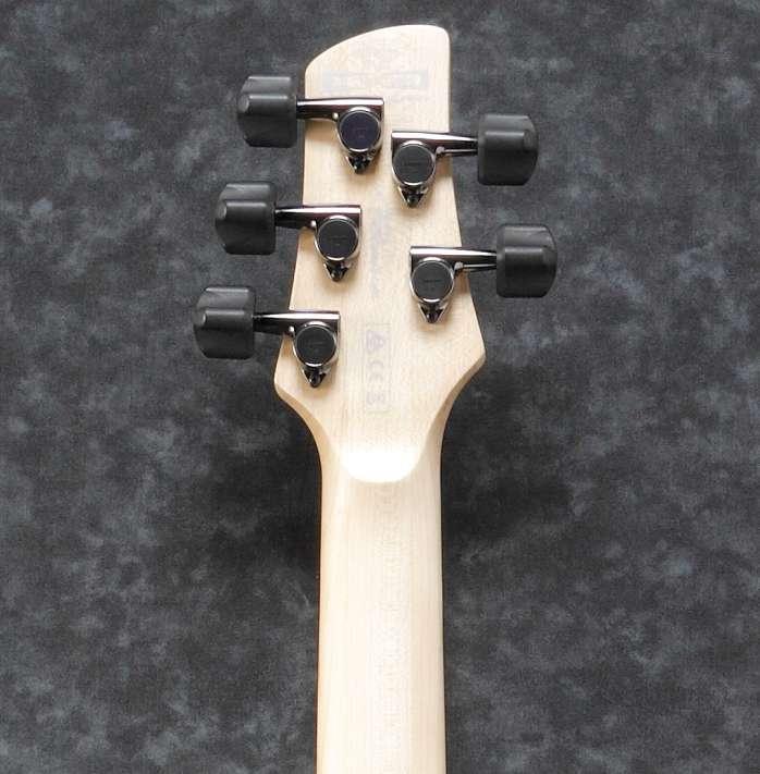 Ibanez GWB205-TQF Gary Willis Signature Fretless 5-String Bass Guitar in Tequila Sunrise Flat - GWB205-TQF (1)-3.jpg