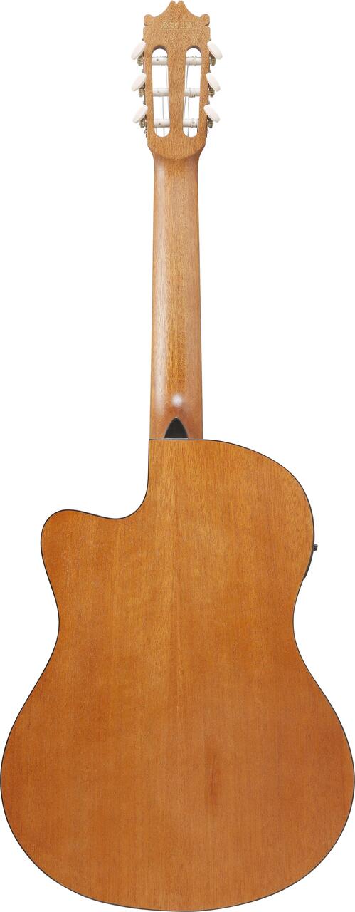 Ibanez GA3ECE-OAM GA Series Electro Acoustic Classical Guitar in Open Pore Amber - GA3ECE-OAM (1).jpg