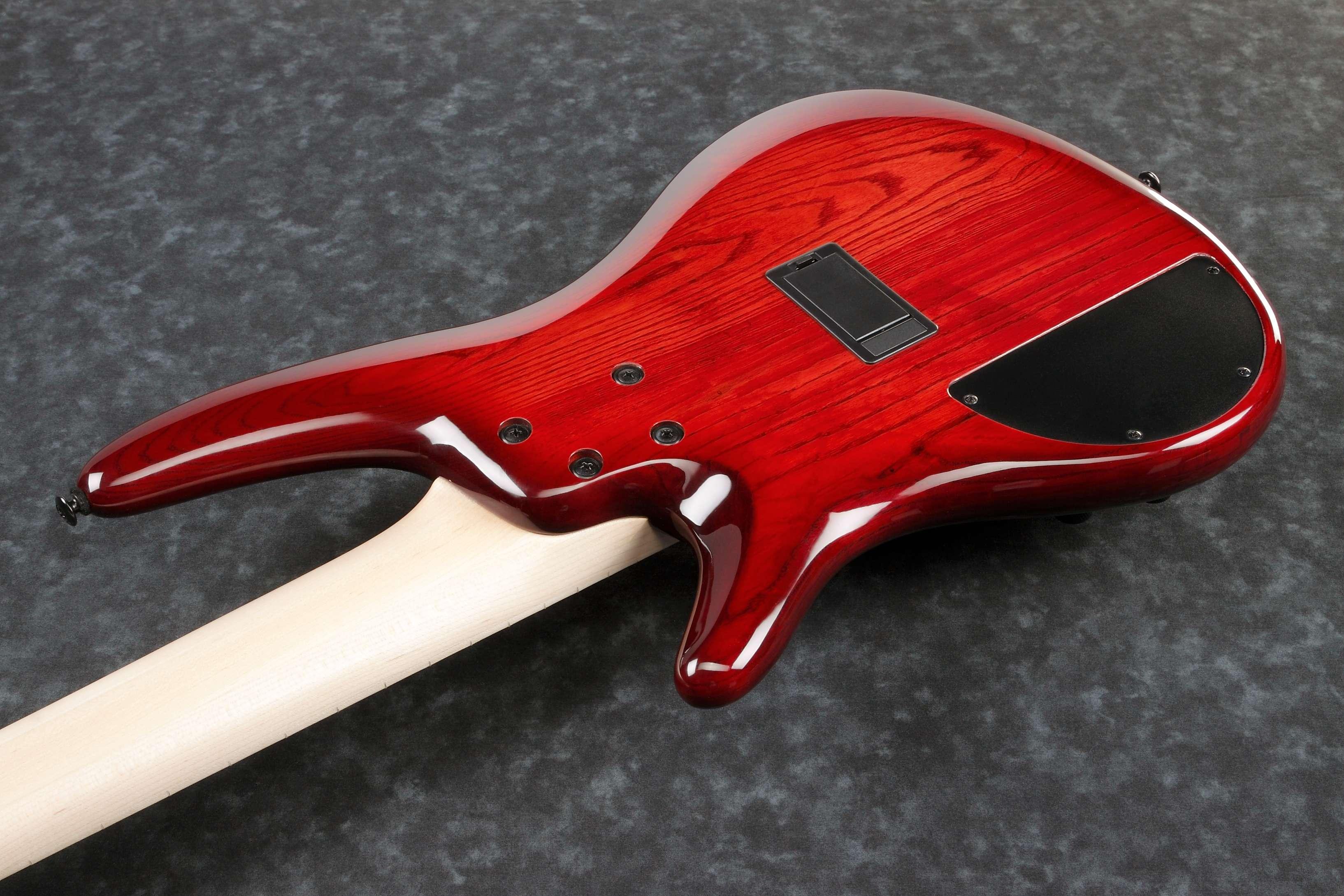 Ibanez ANB205-TWB Adam Nitti Signature 5-String Bass Guitar in Transparent Red Burst - ANB205-TWB (11).jpg
