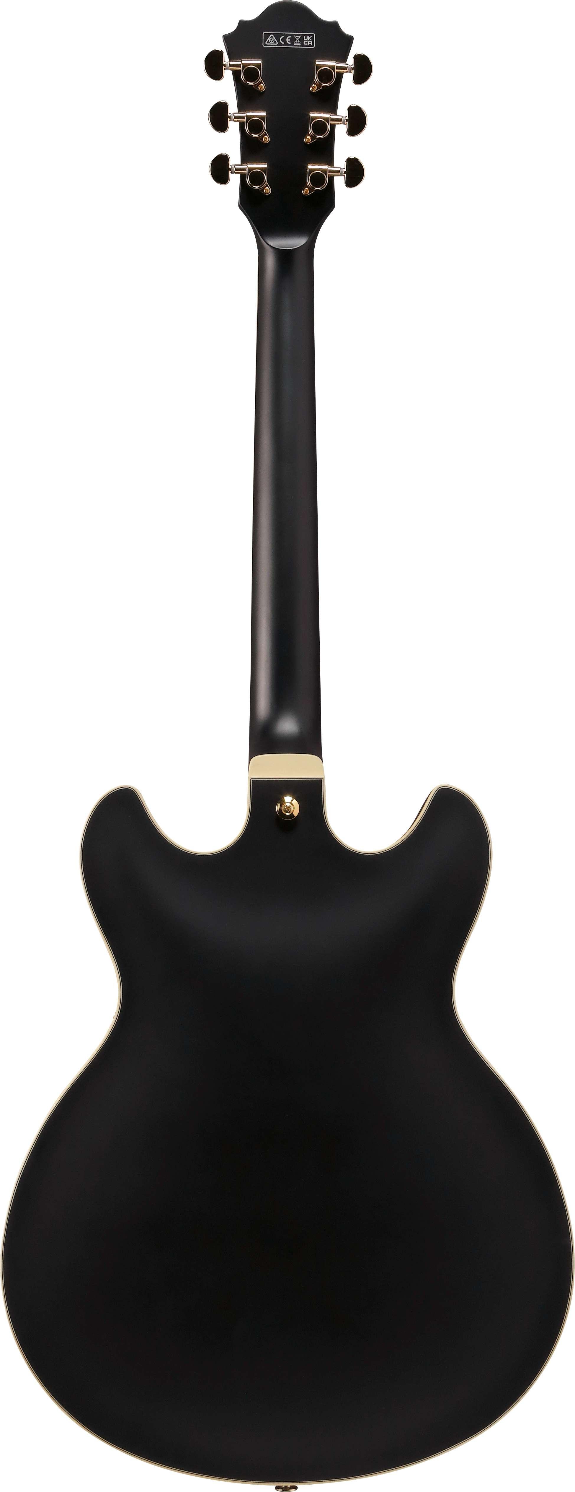 Ibanez AS73G-BKF Artcore Semi-Hollow Electric Guitar in Black Flat - AS73G-BKF (3).jpg