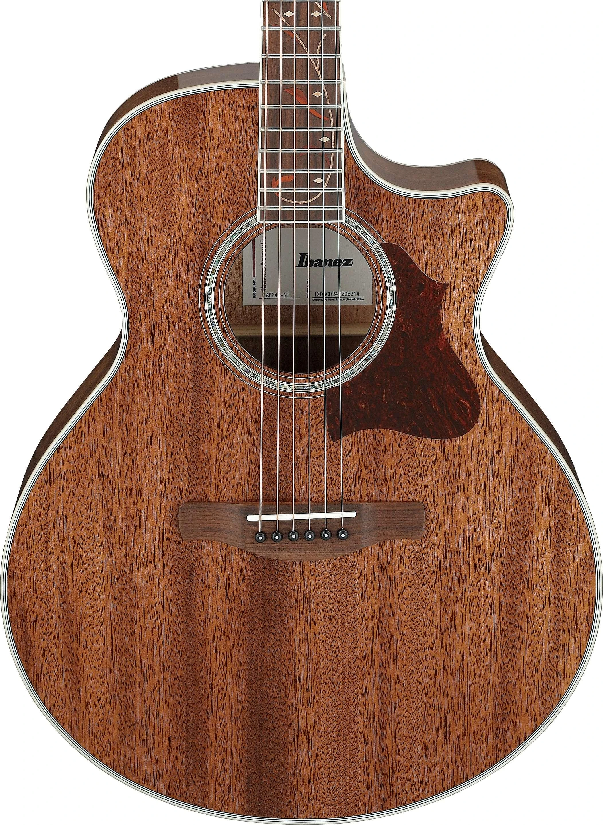 Ibanez AE245-NT AE Series Electro Acoustic Guitar in Natural High Gloss - AE245-NT (10).jpg
